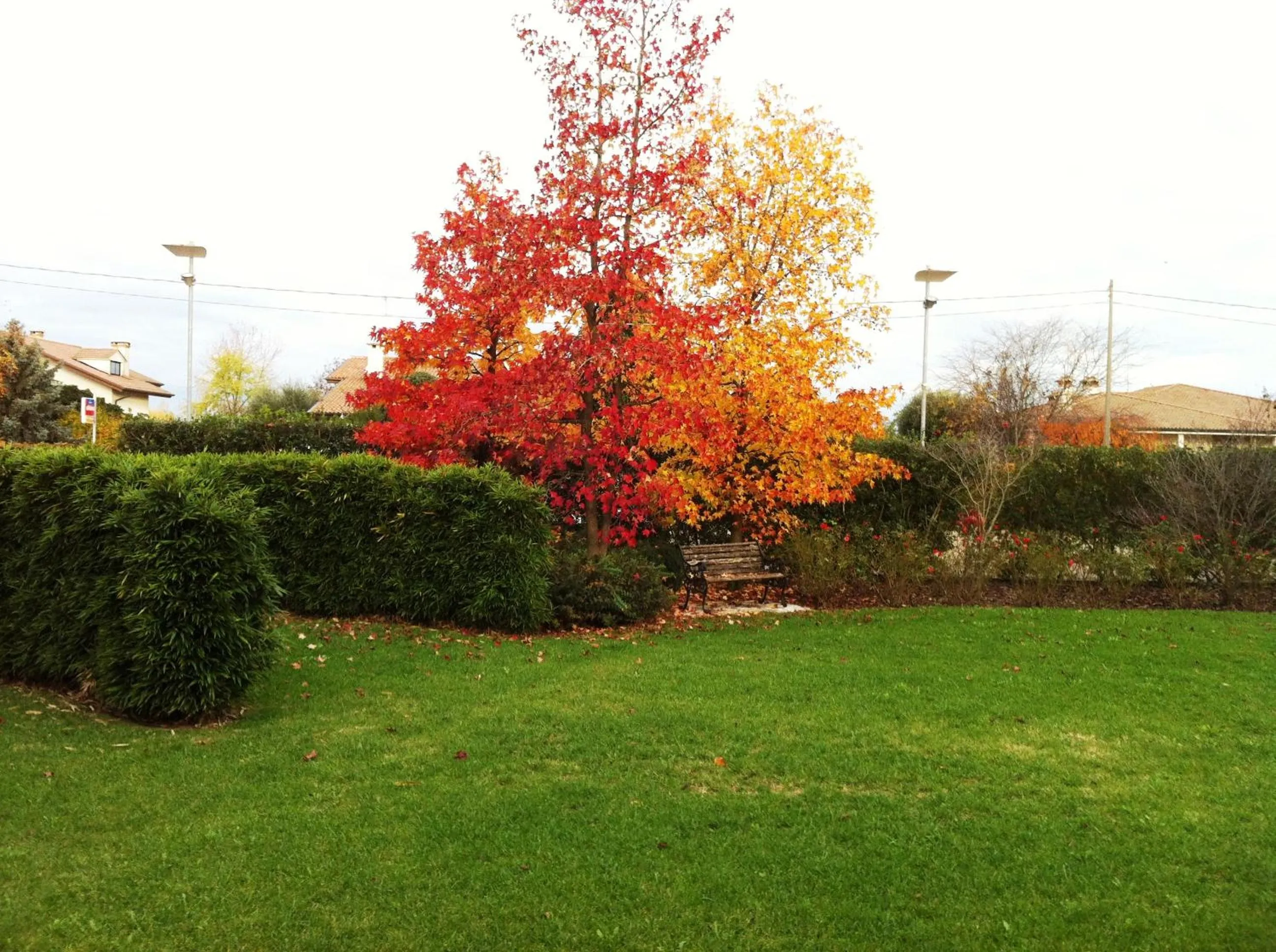 Garden in Relais Villa Annamaria Bed end Breakfast
