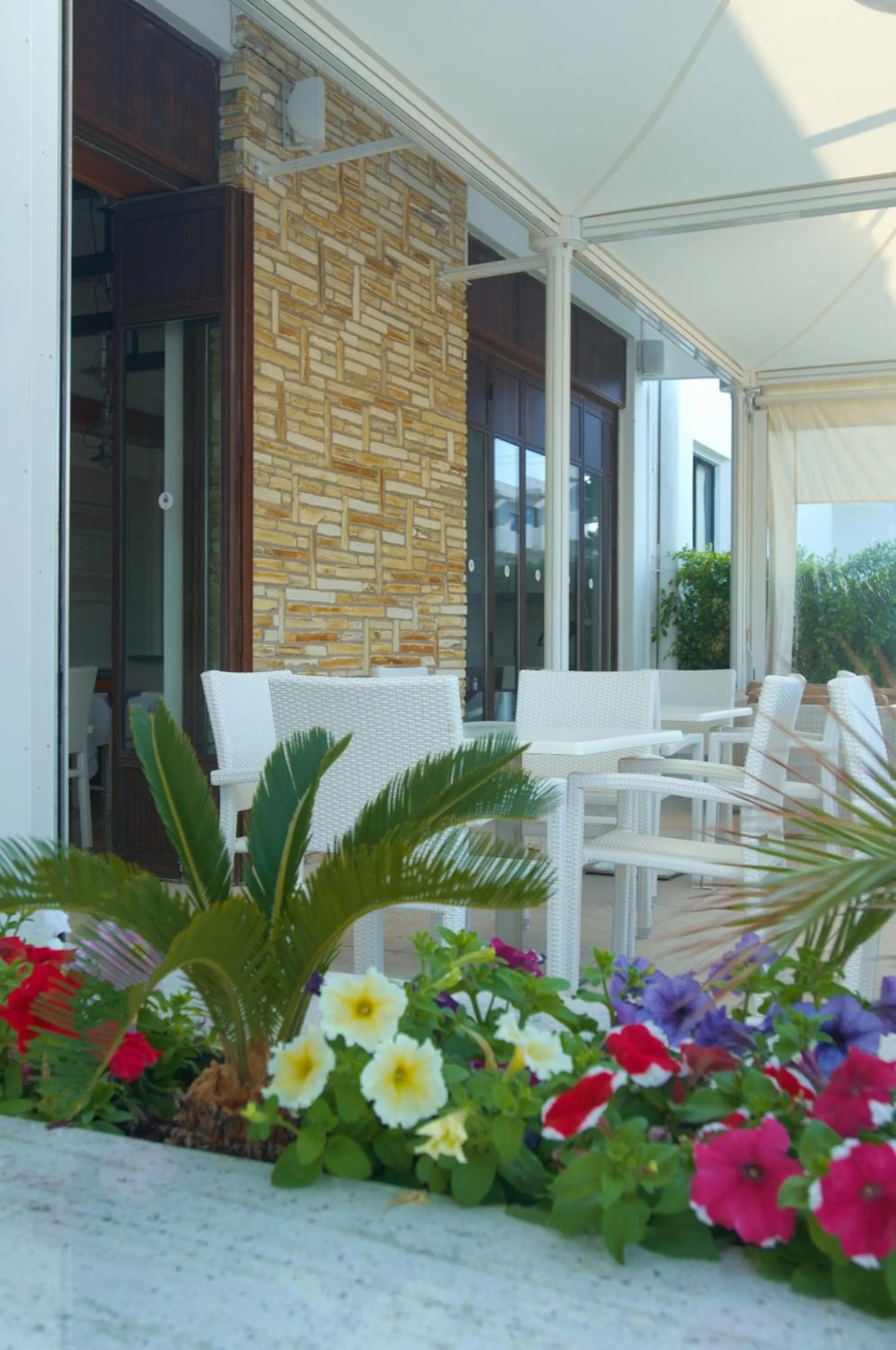 Garden in Senator Hotel Apartments - Adults Only