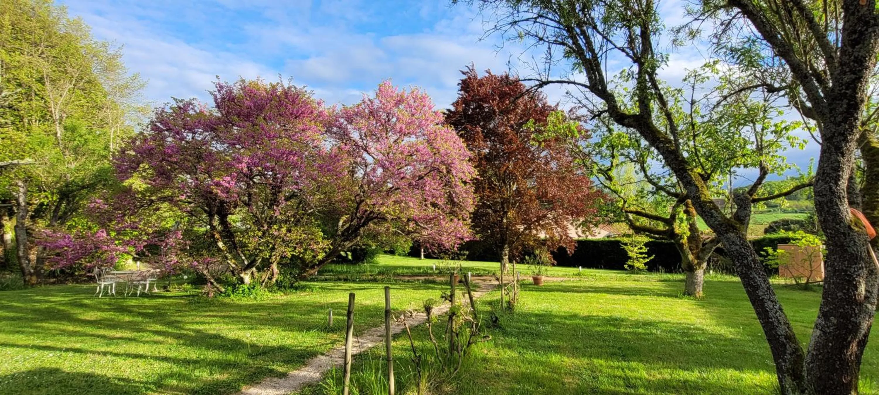 Garden in B&B Des Histoires d'Anges - Côté Jardin - Accueil Vélo