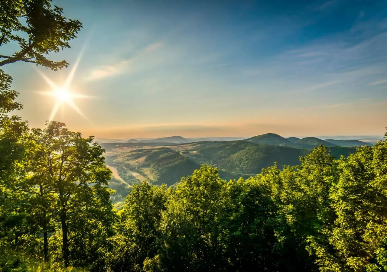 Natural landscape in Willa Monte