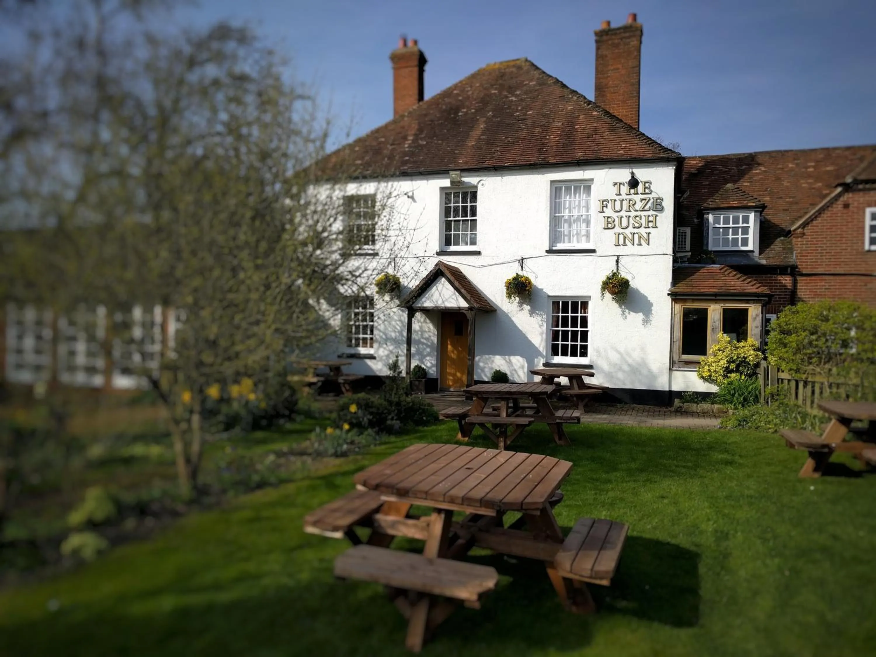 Patio in The Furze Bush Inn