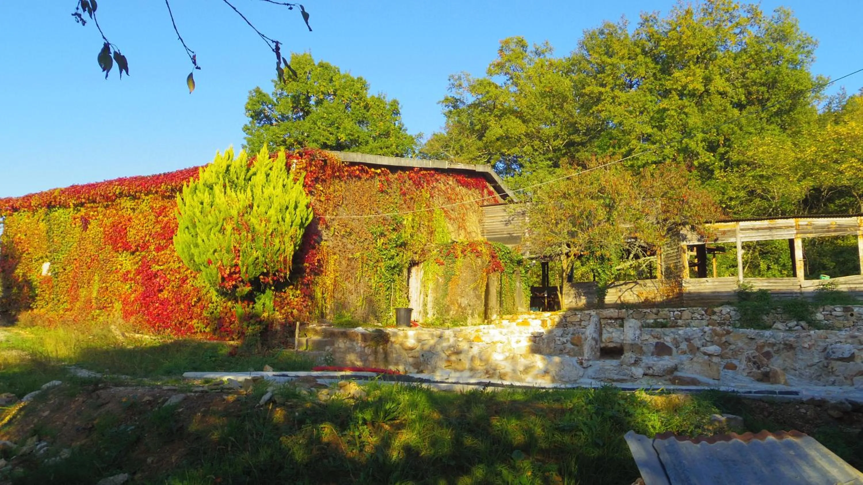 Swimming pool in Chambre Lascaux aux Meulieres a Domme