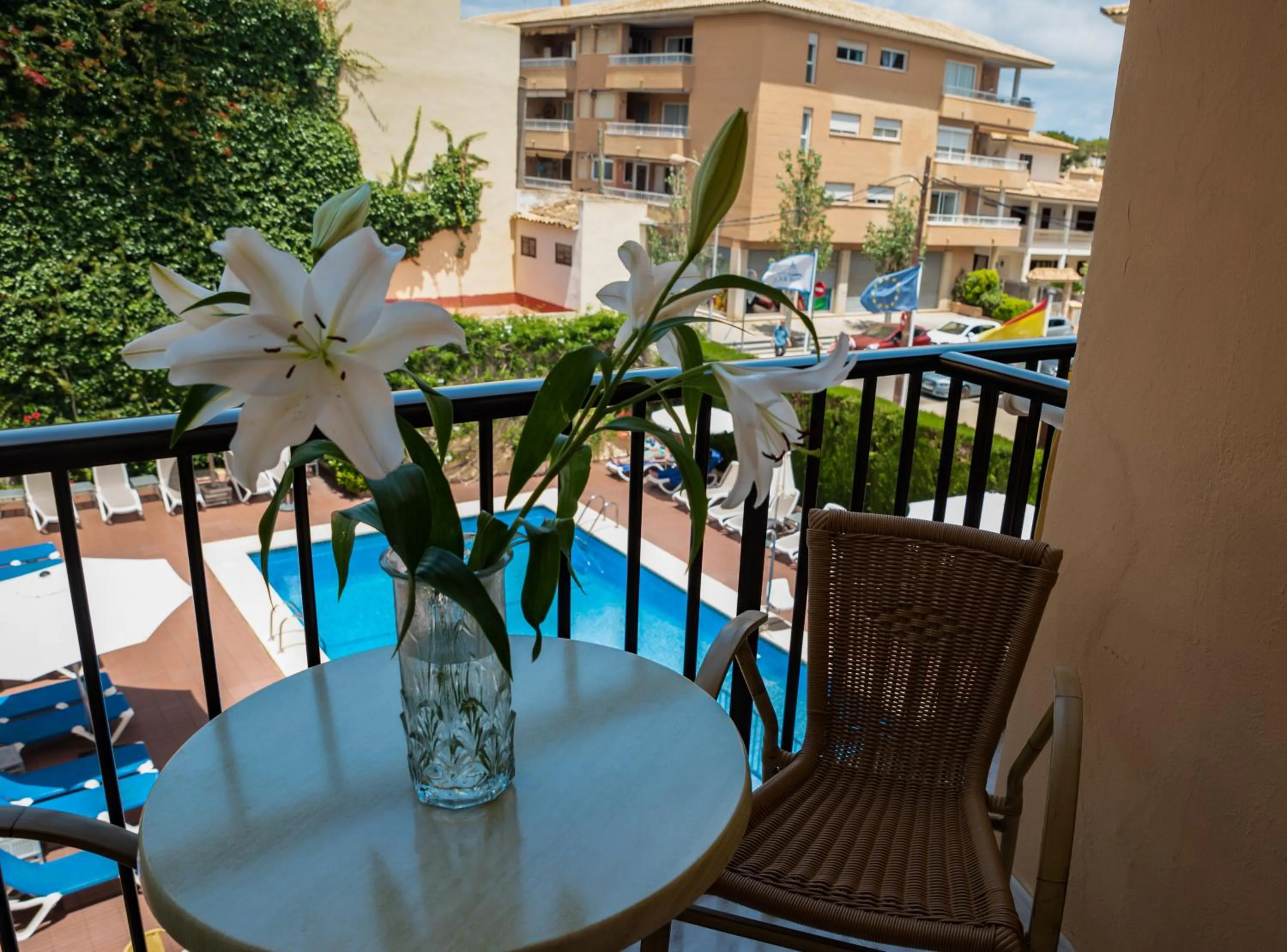 Balcony/Terrace in Hotel Amoros
