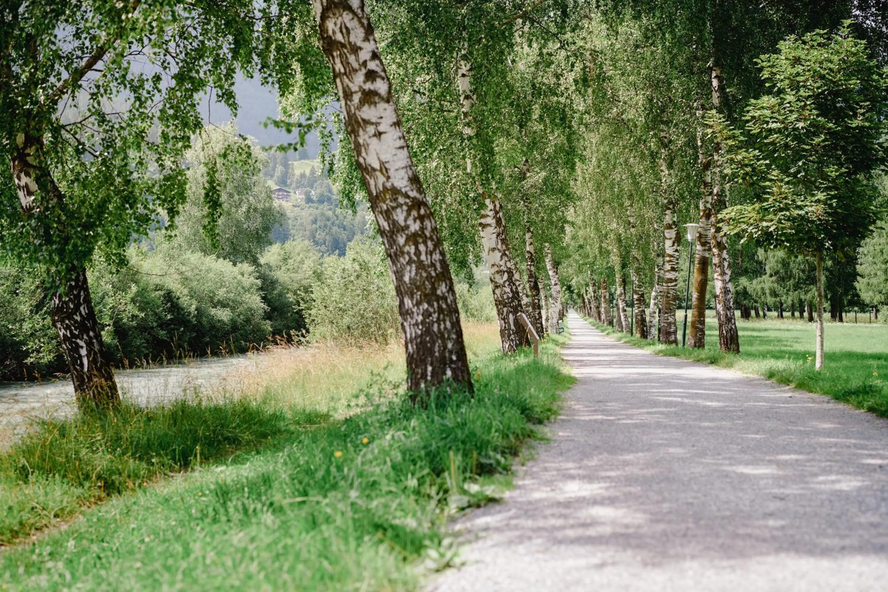 Natural landscape in Hotel Alpina - Thermenhotels Gastein