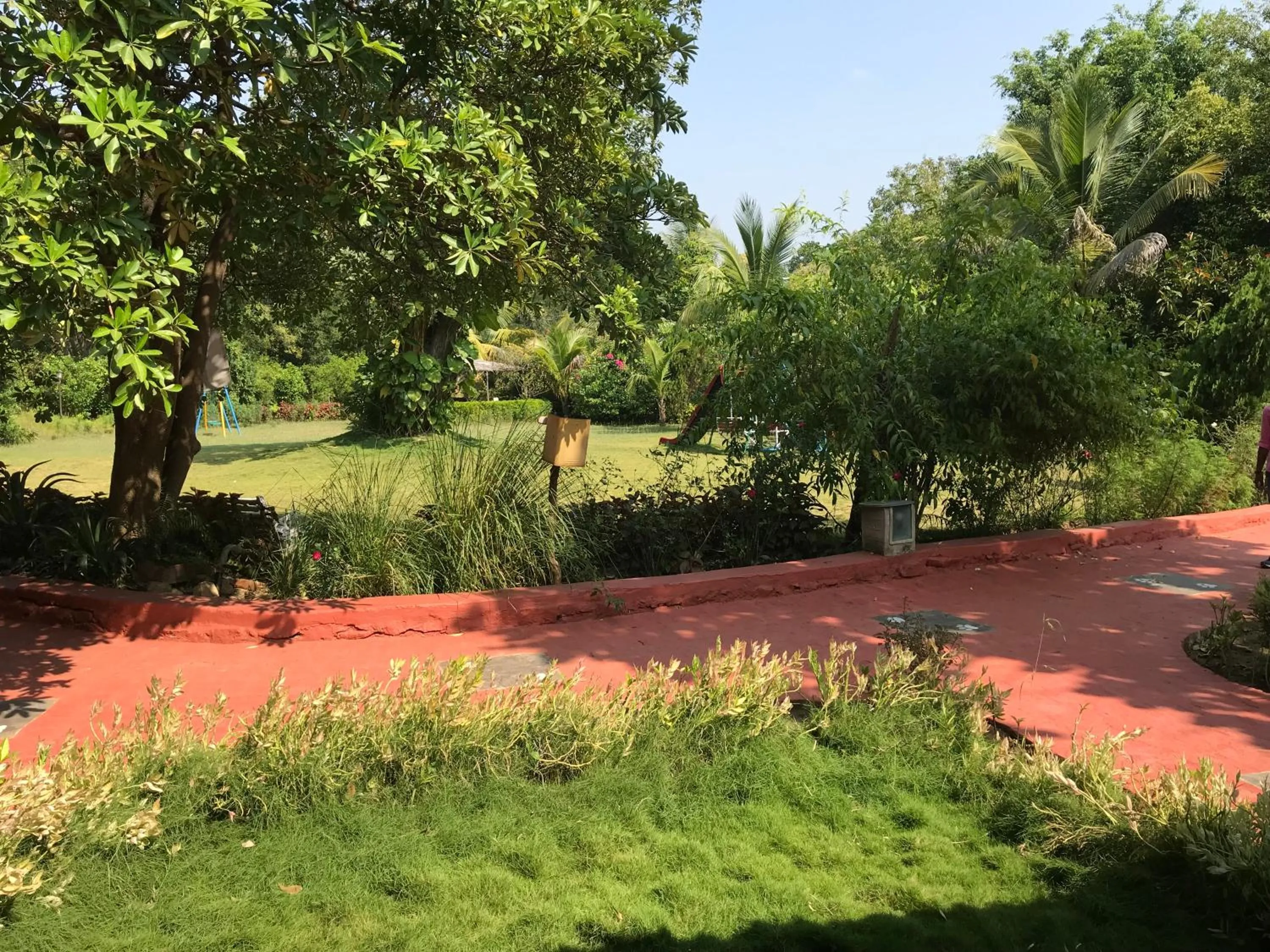 Garden in Baaz Jungle Resort