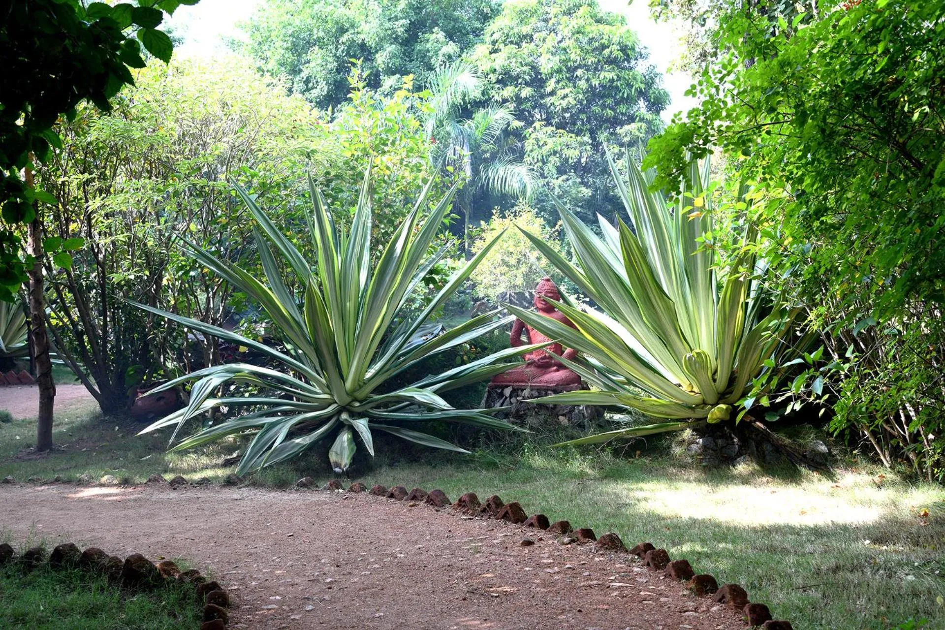 Garden in Baaz Jungle Resort