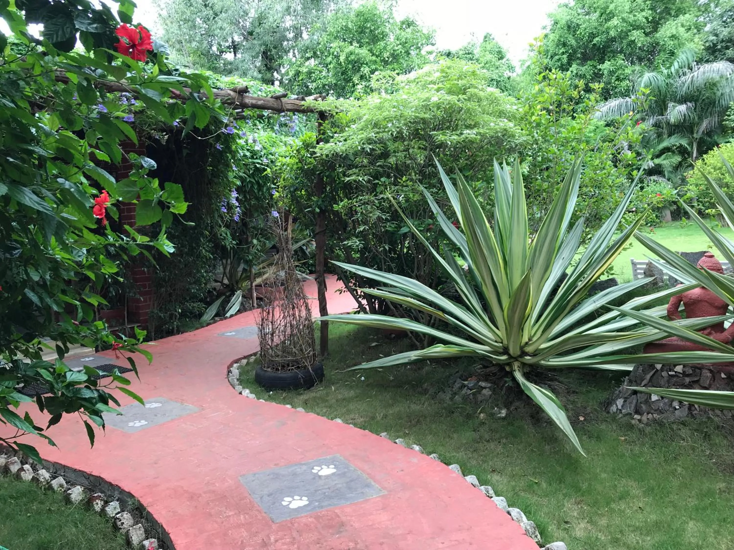 Garden in Baaz Jungle Resort