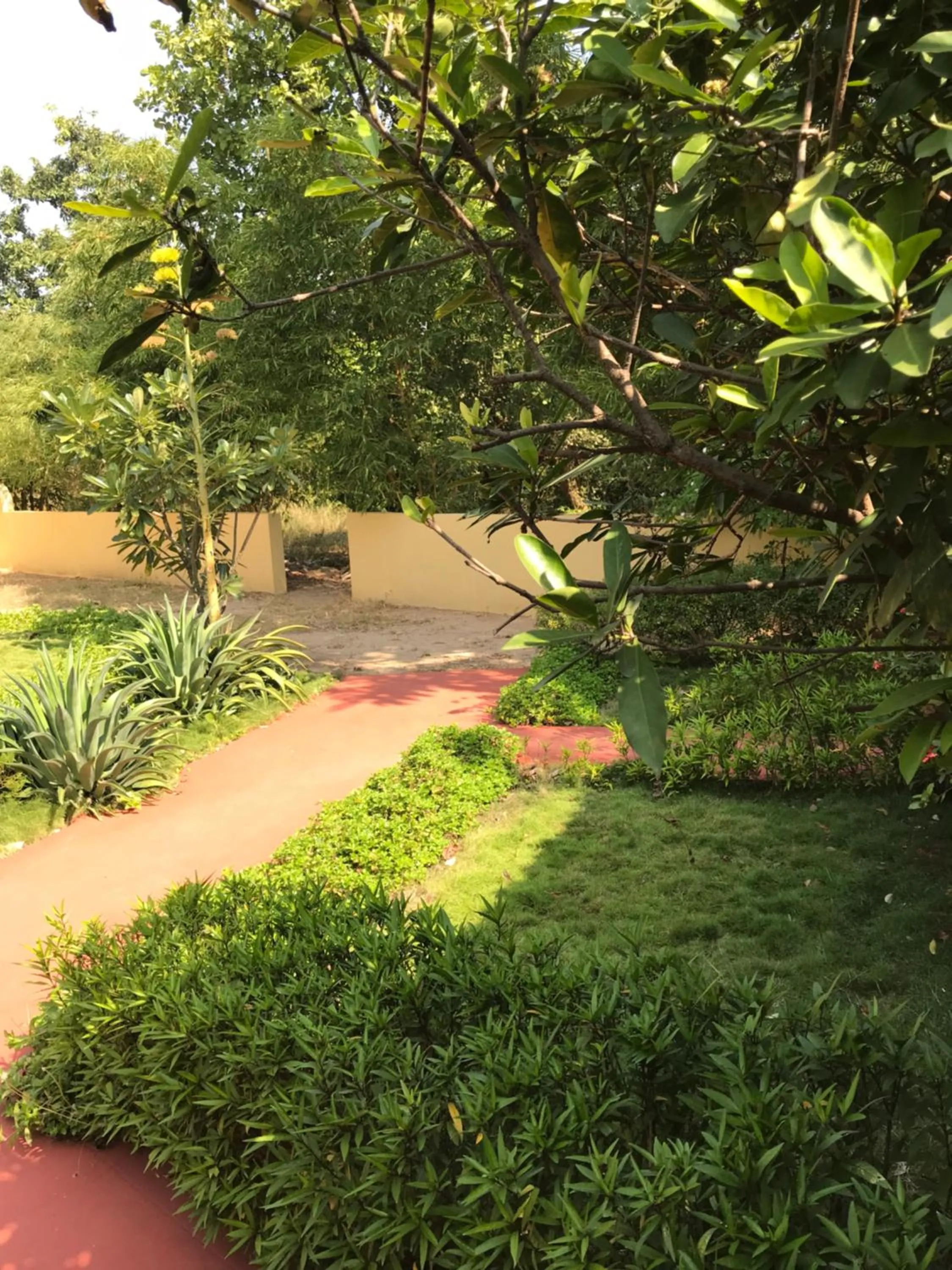 Garden in Baaz Jungle Resort