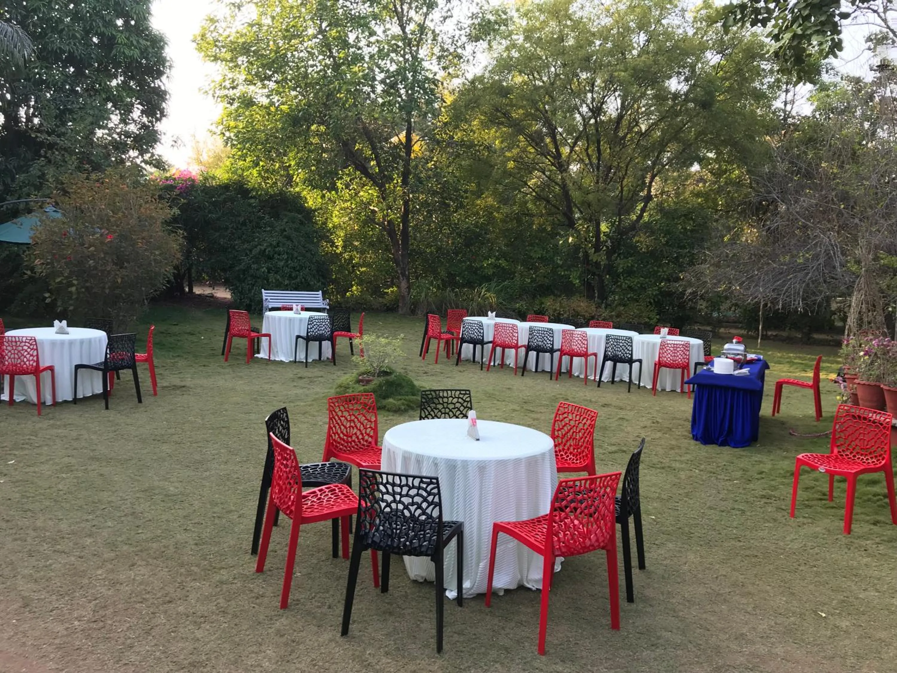 Food and drinks in Baaz Jungle Resort