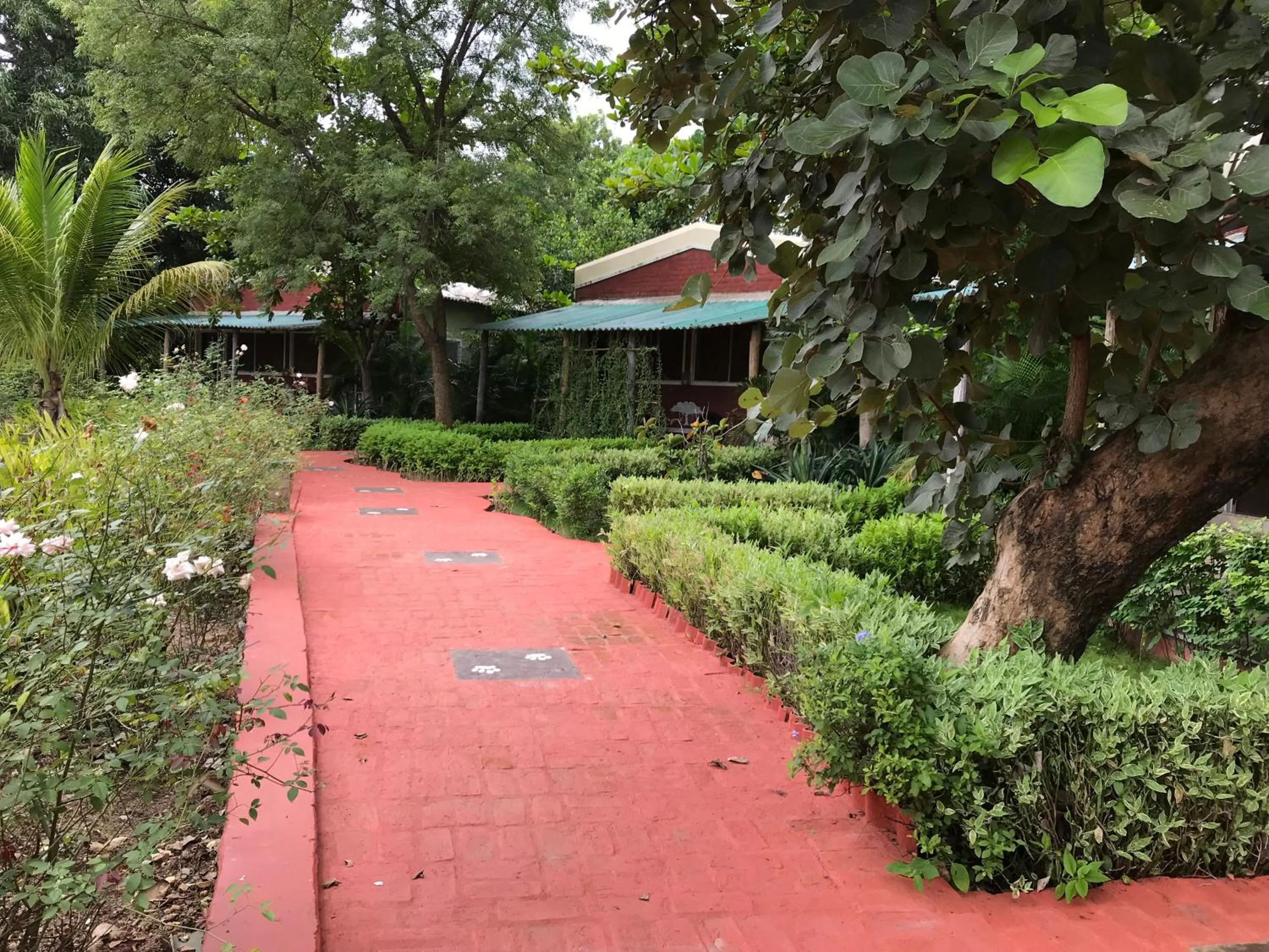 Area and facilities in Baaz Jungle Resort