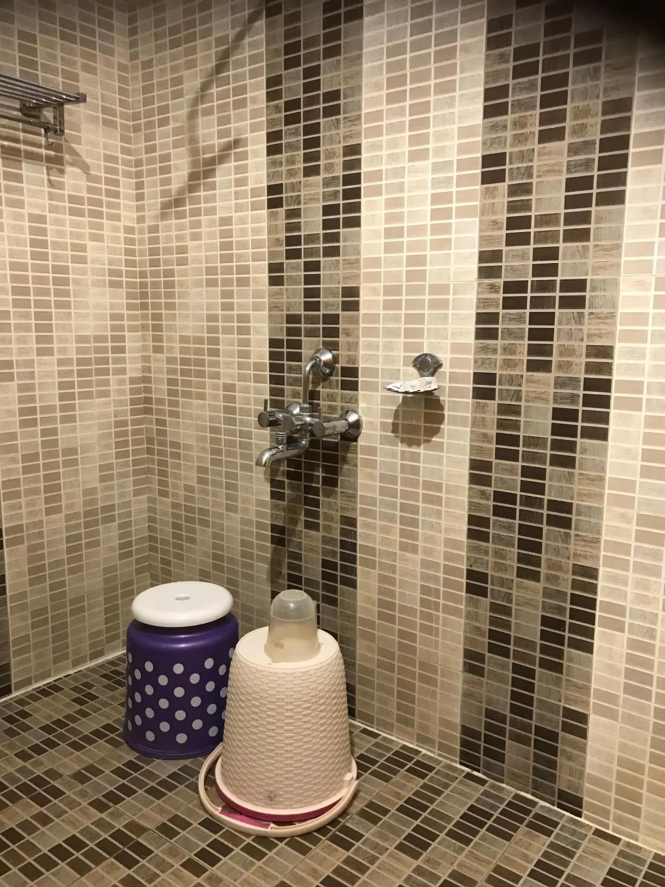 Bathroom in Baaz Jungle Resort