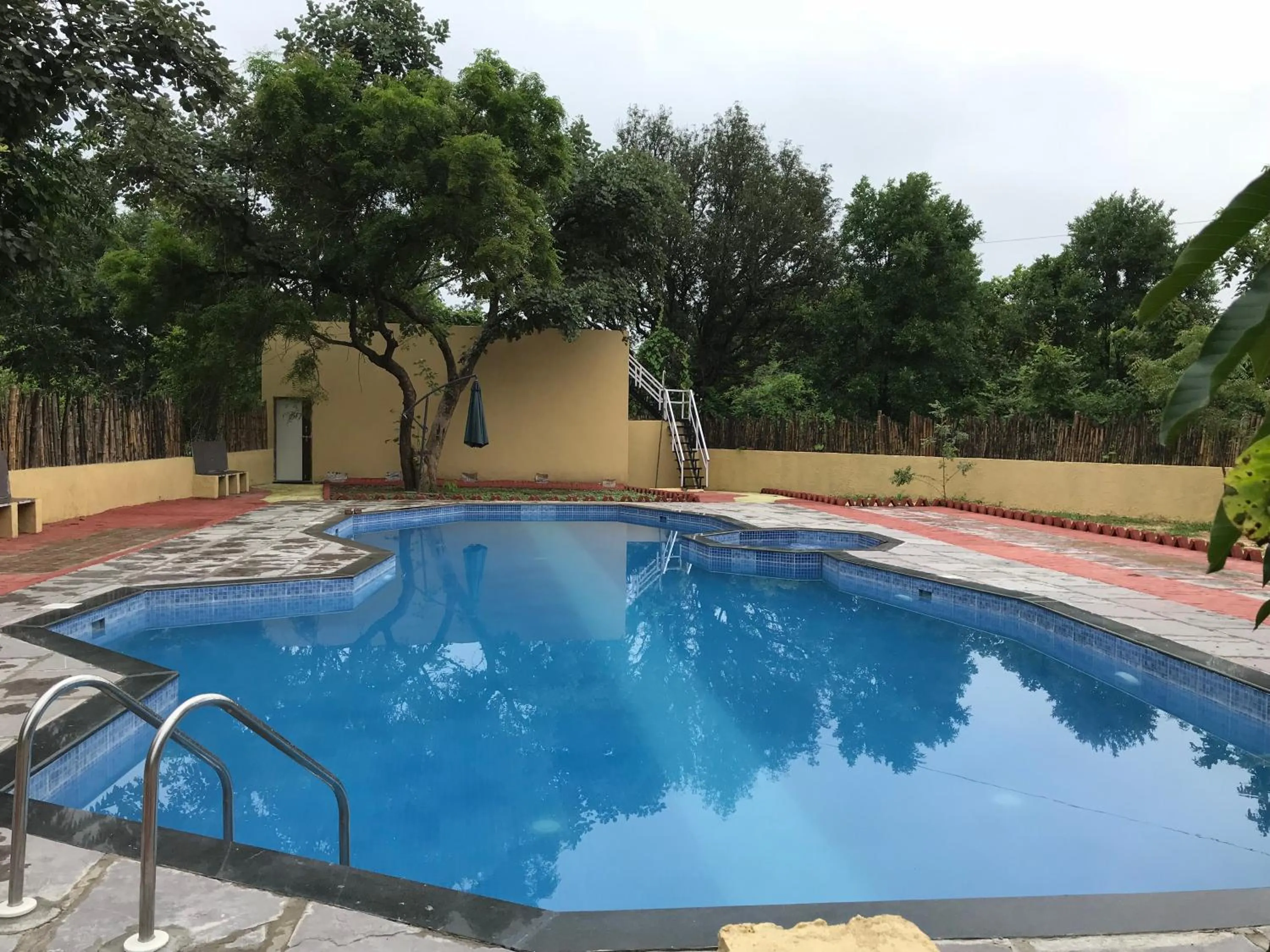 Swimming pool in Baaz Jungle Resort