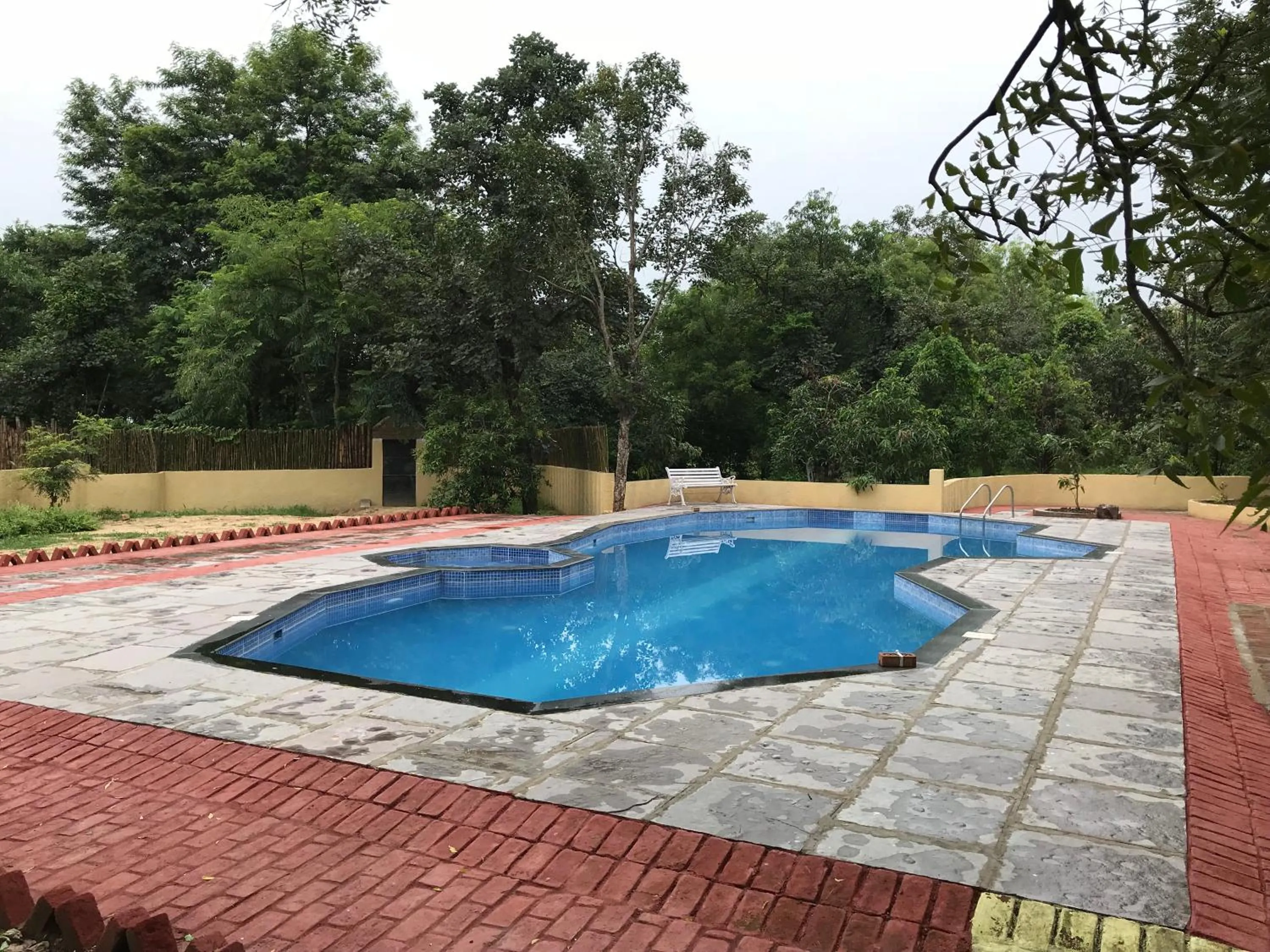 Swimming pool in Baaz Jungle Resort