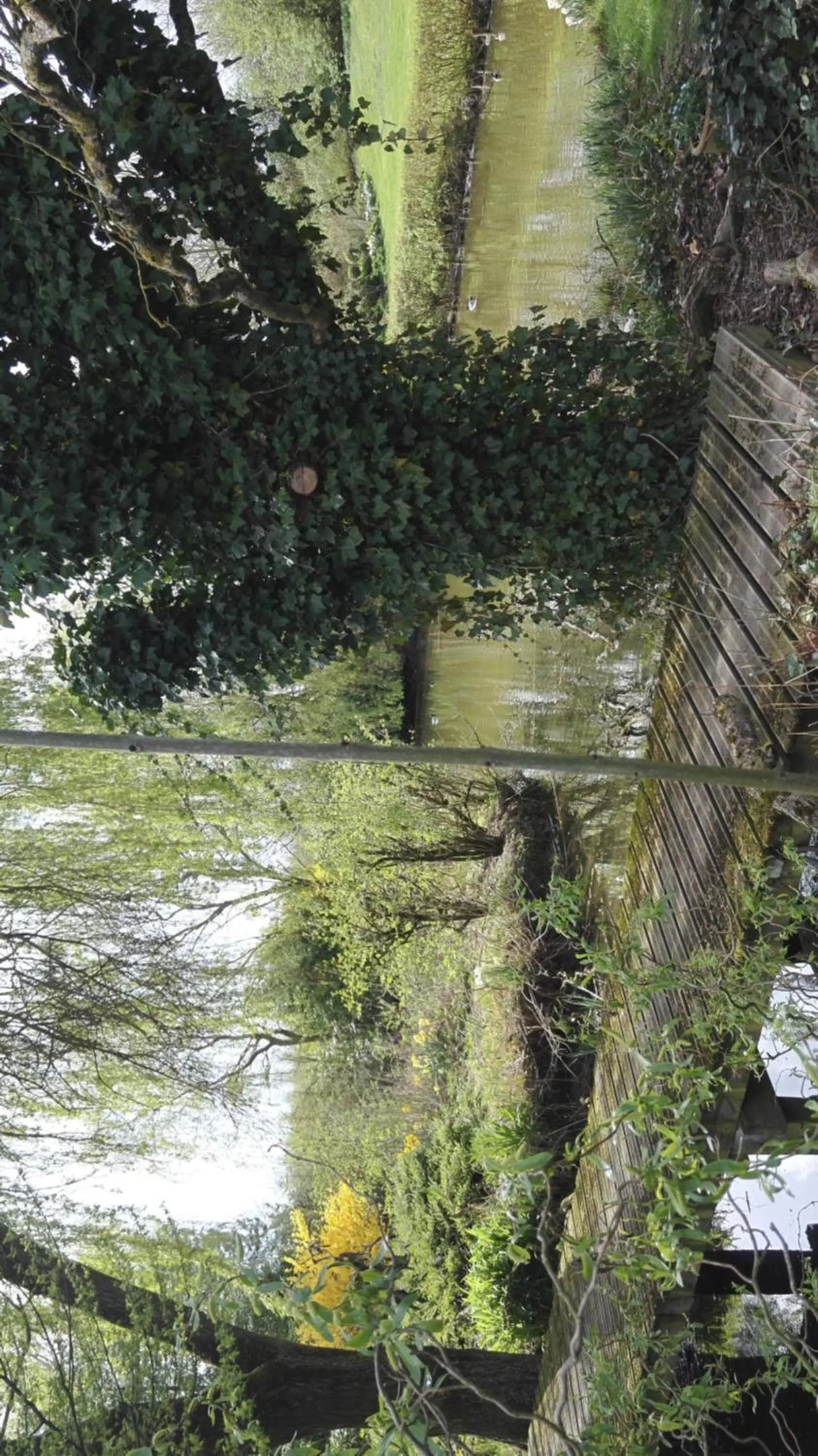 Garden view in les Bovrieres