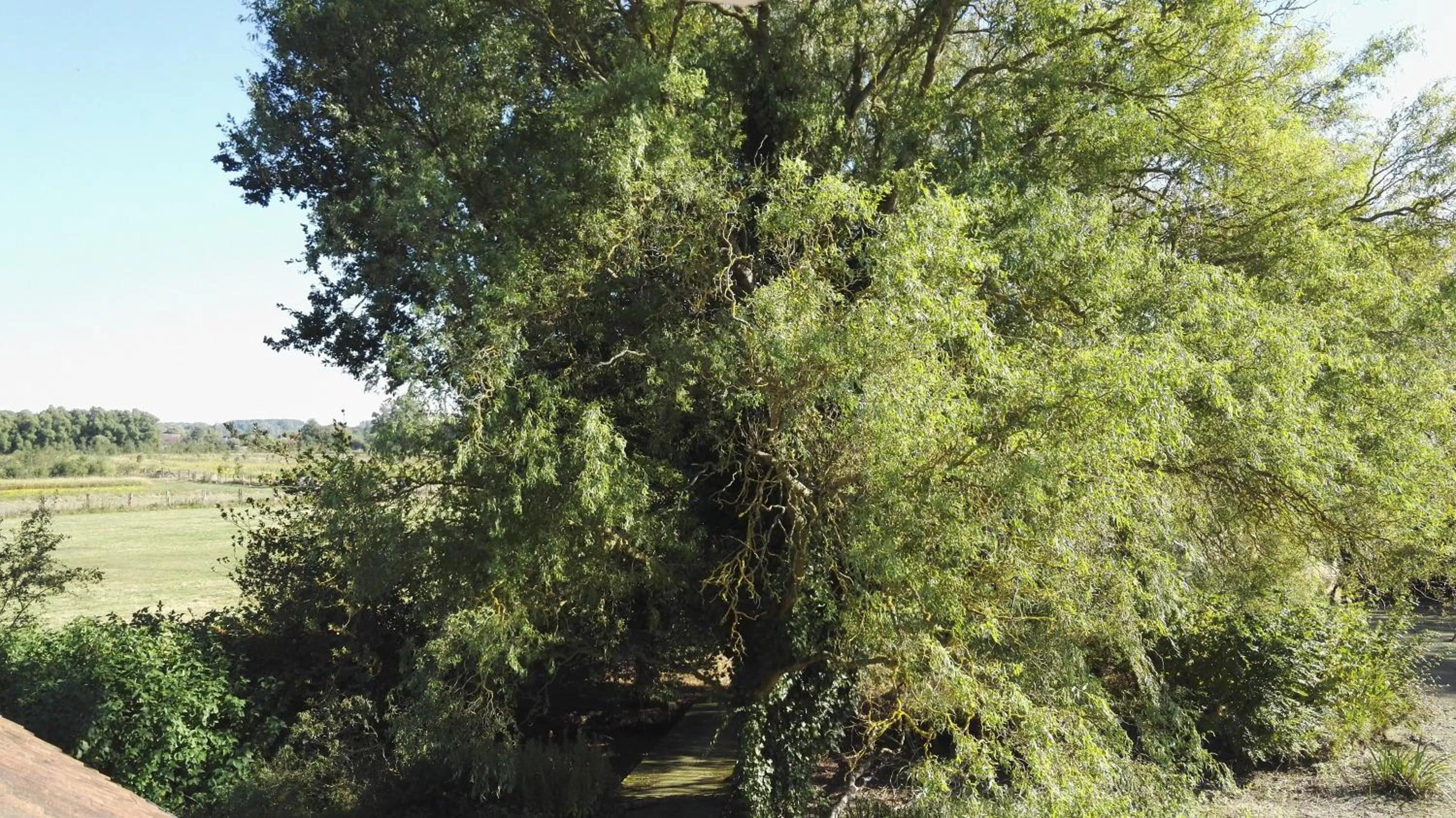 Garden view in les Bovrieres