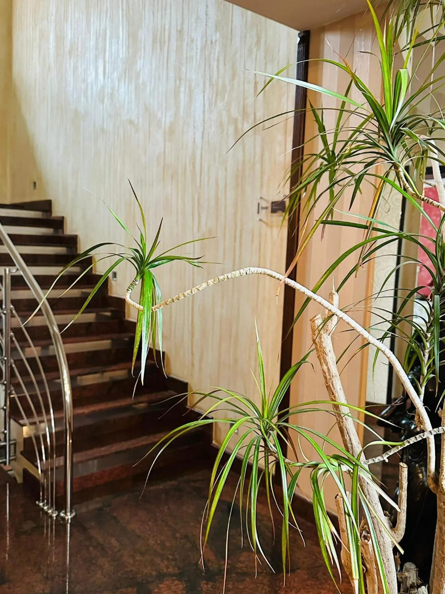 Property building in Acapulco Hotel