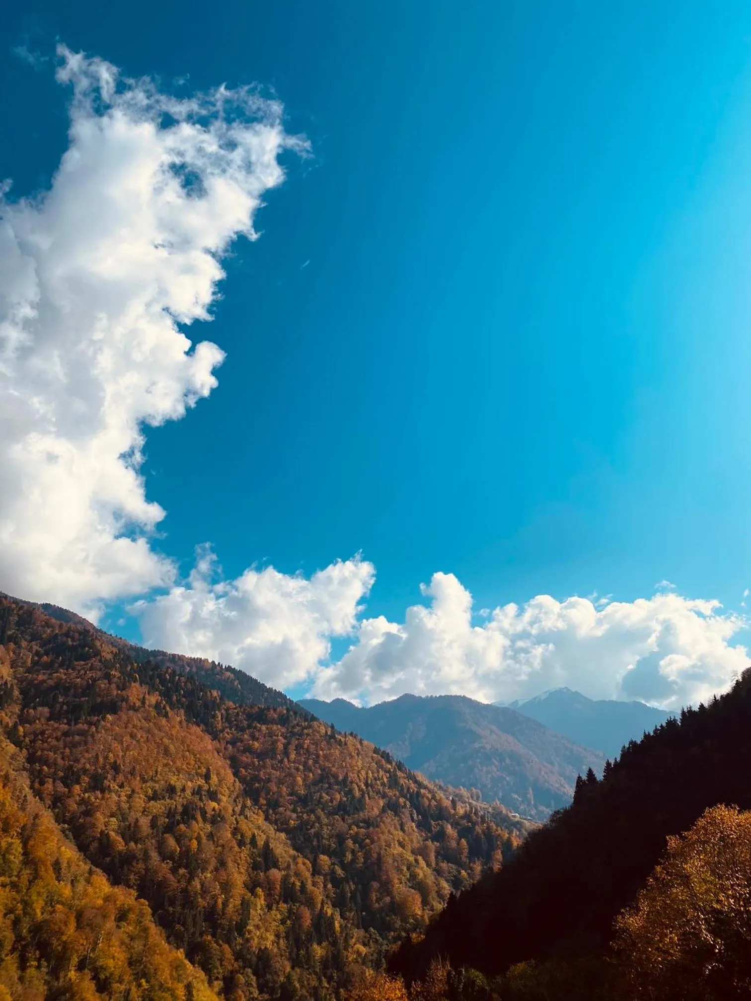 Seyr-i Cennet Dag Evleri