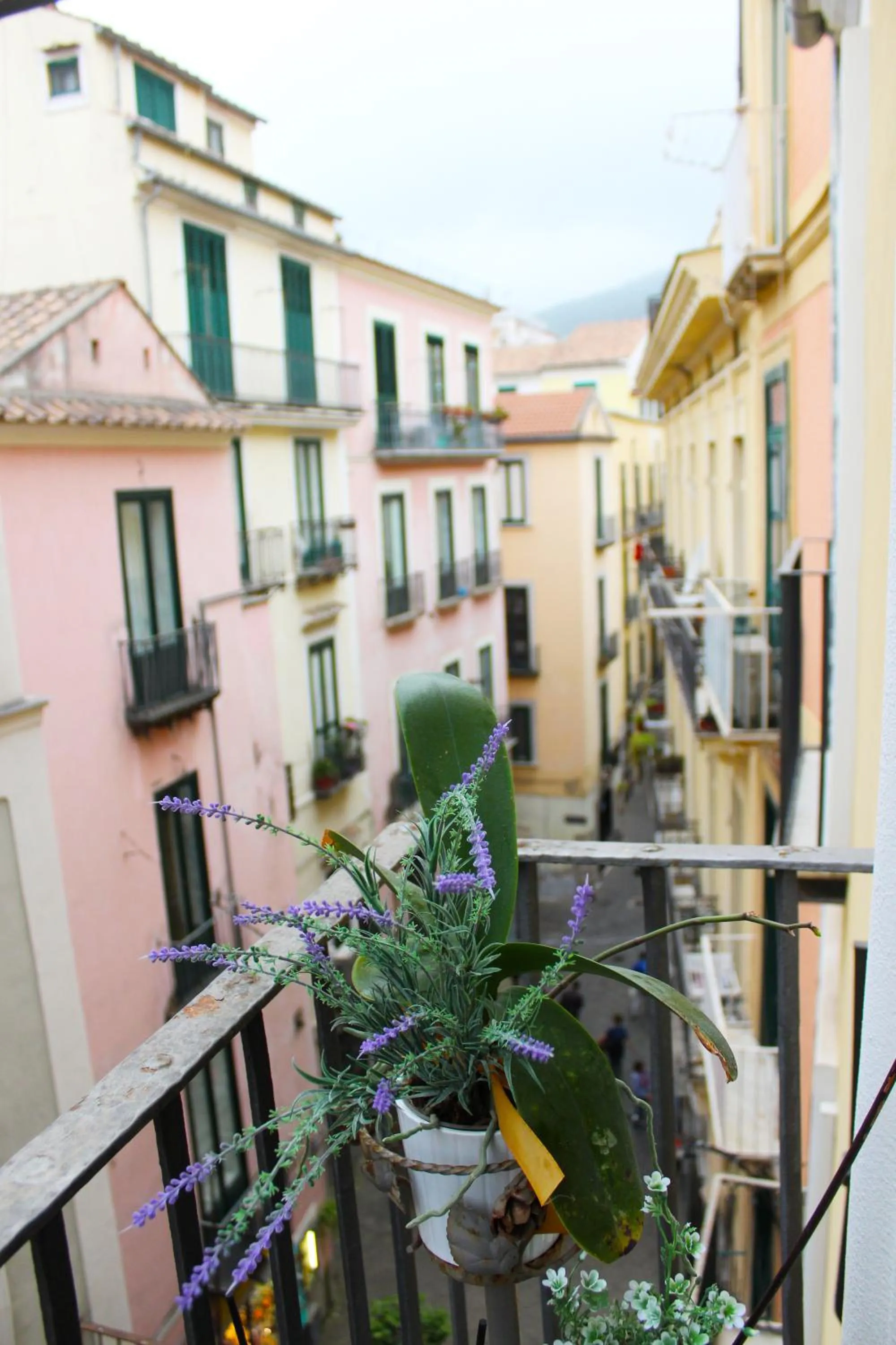 City view in B&B Katerine