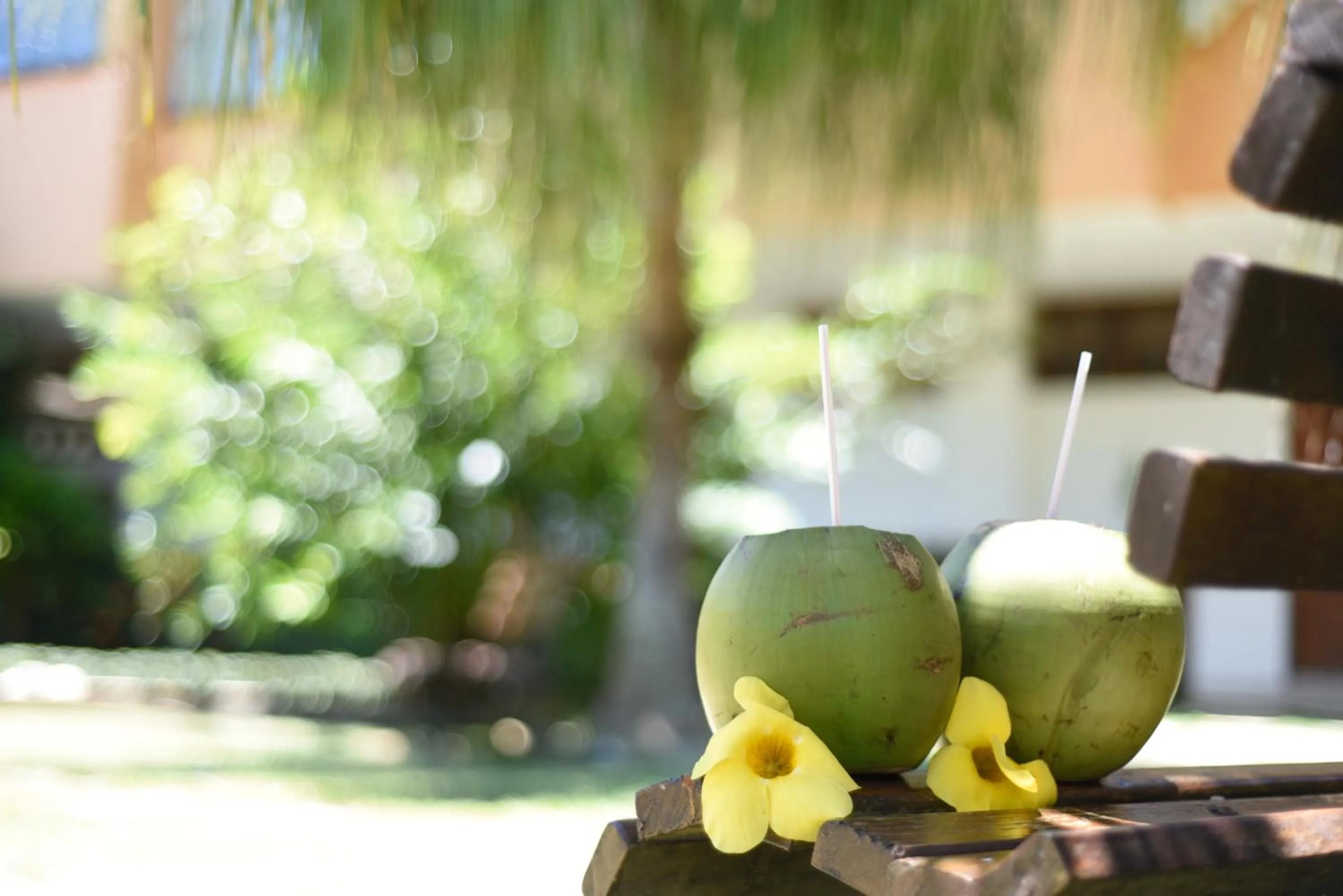 Garden view in Pousada Casa do Catavento