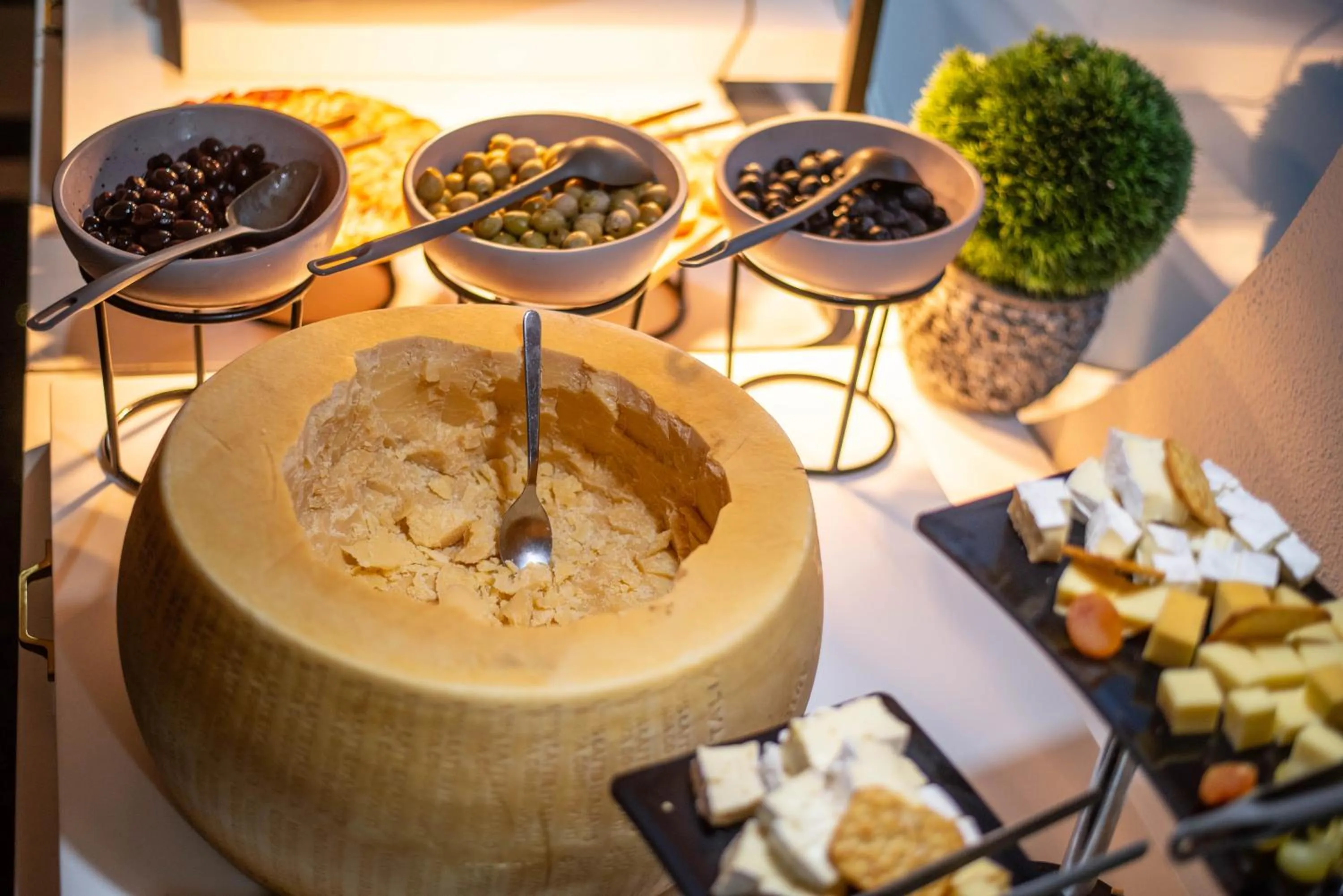 Buffet breakfast in Hotel Carpathia