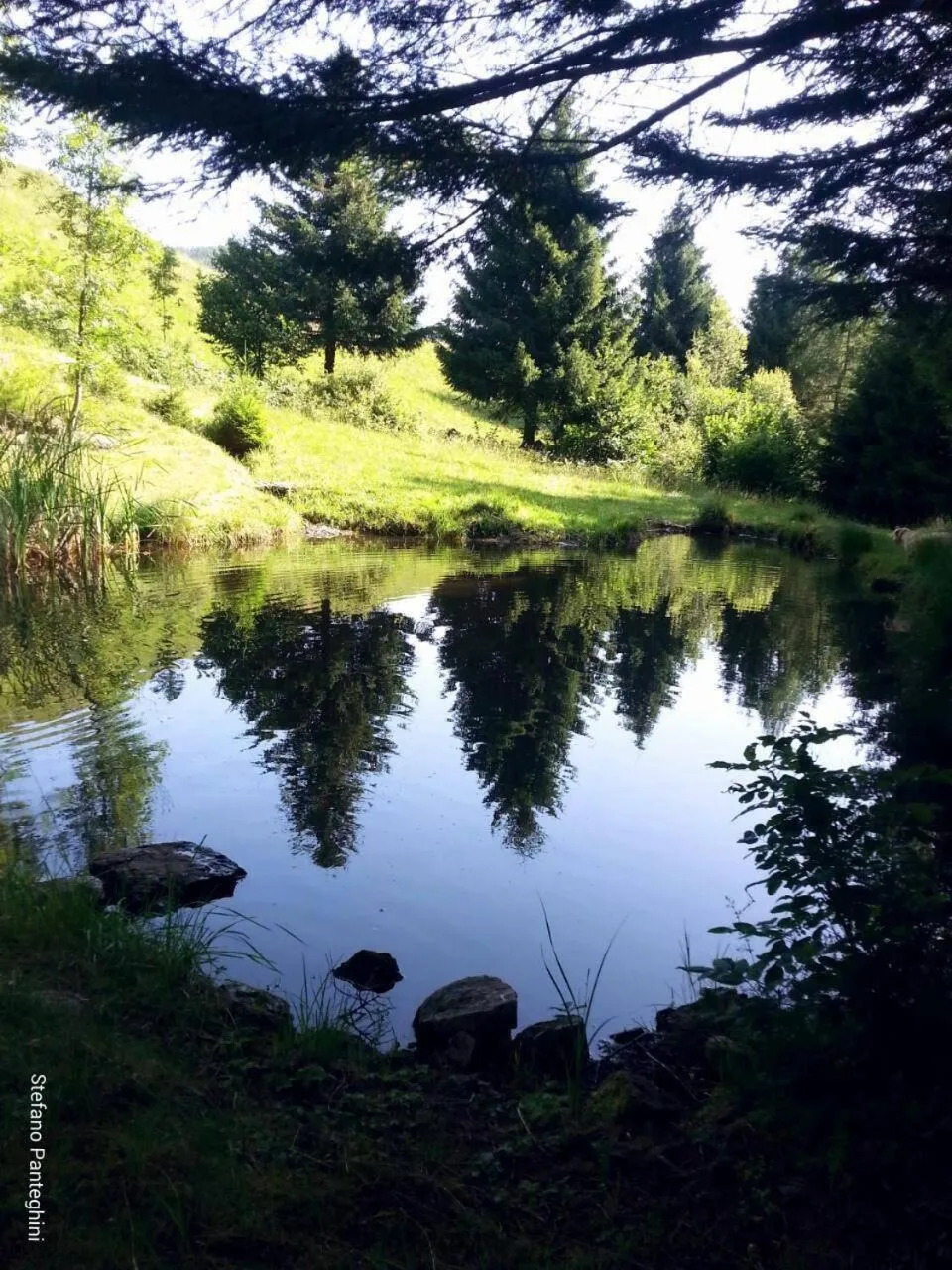 Seasons in Hotel Eternità