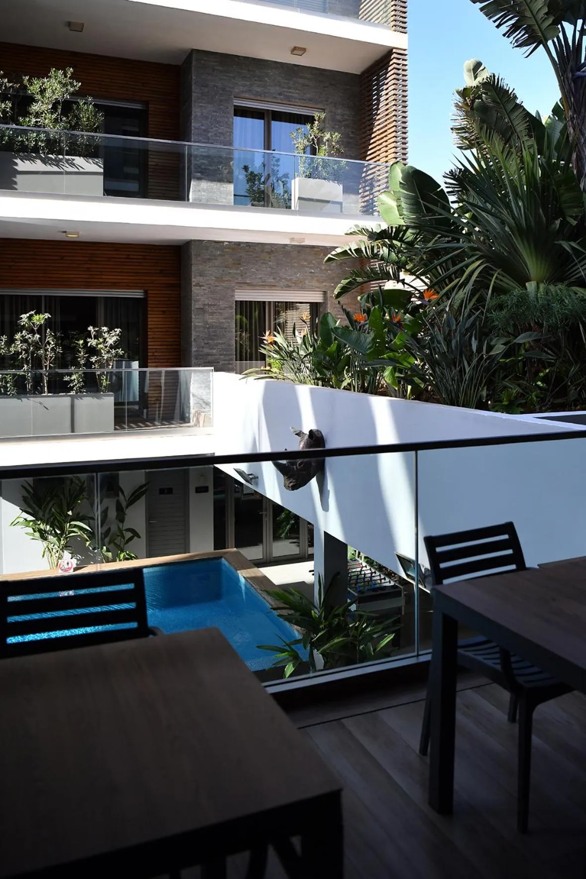 Ocean Park Hotel, Premium Suites & Wellness