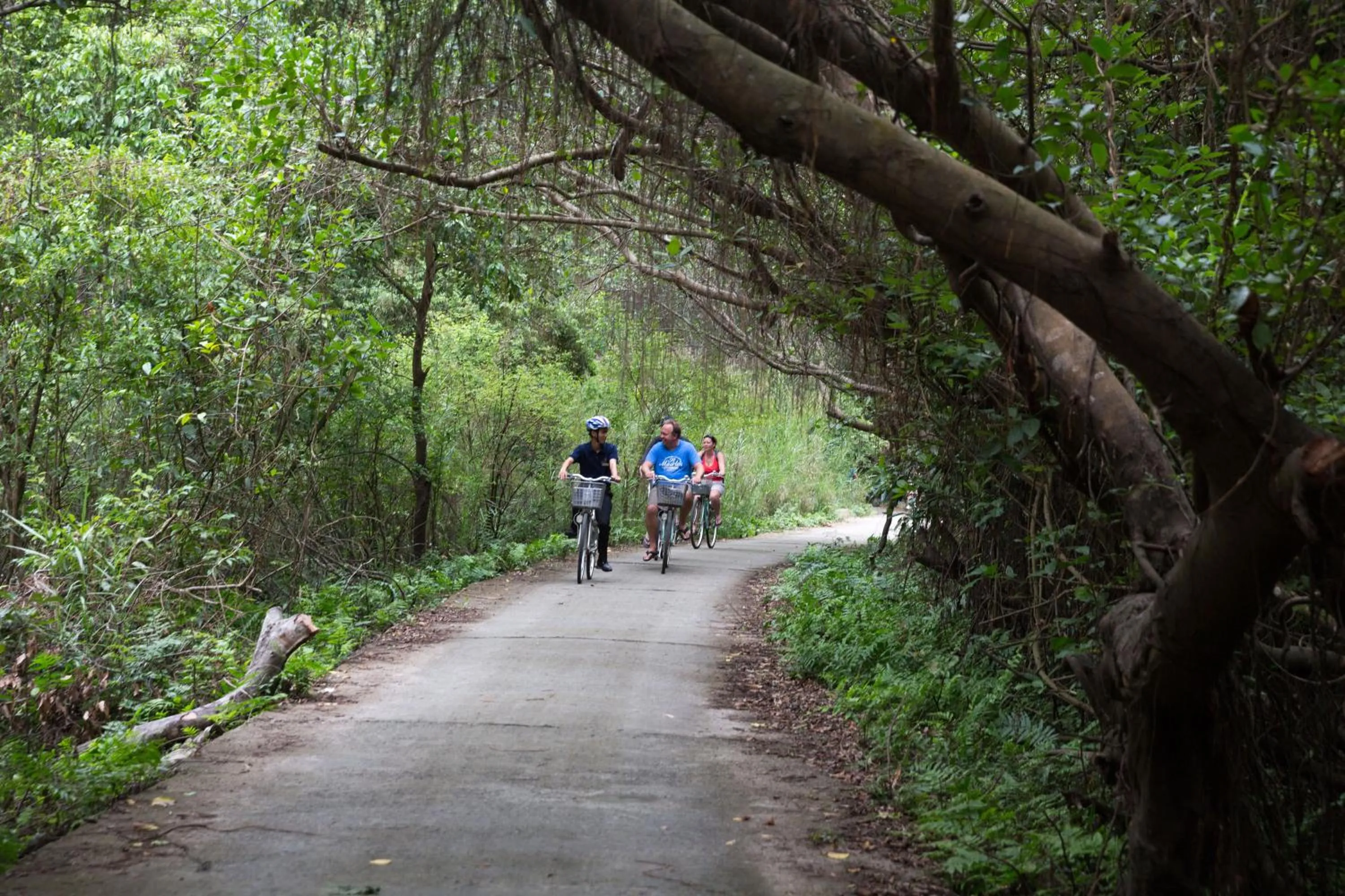 Cycling in Orchid Trendy Cruise