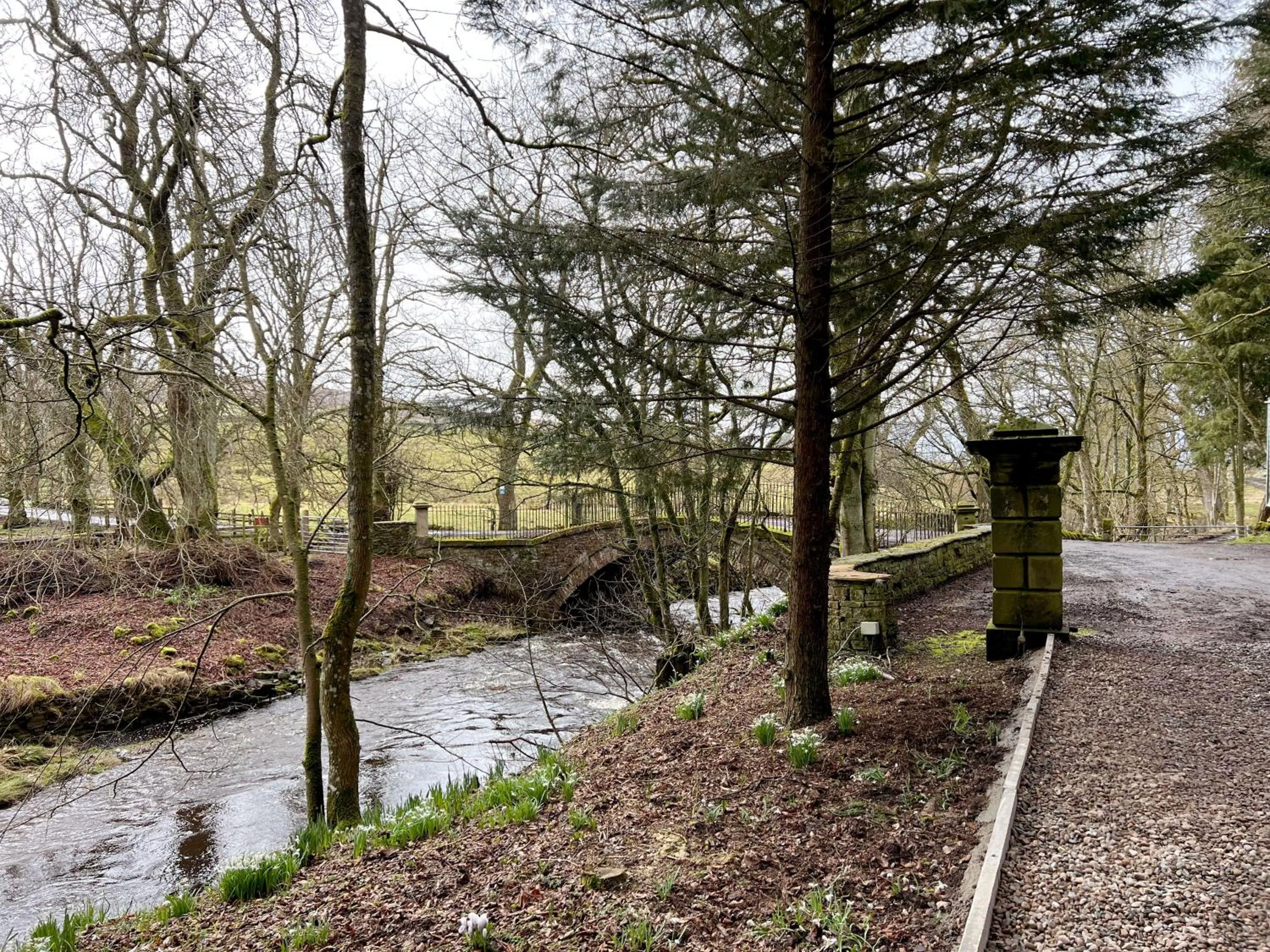 Natural landscape in Lovelady Shield Country House Hotel