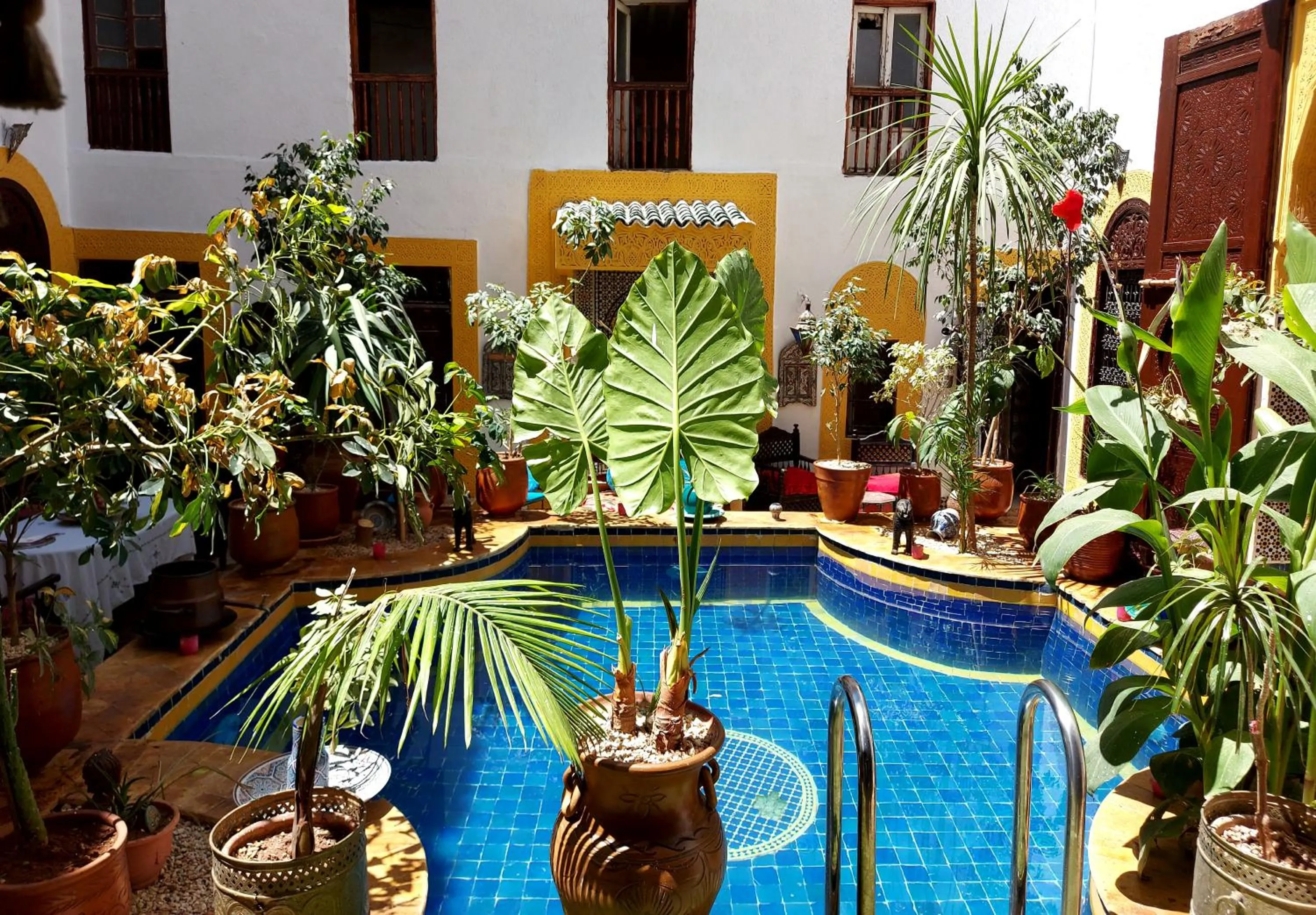 Garden view in Palais AL Firdaous