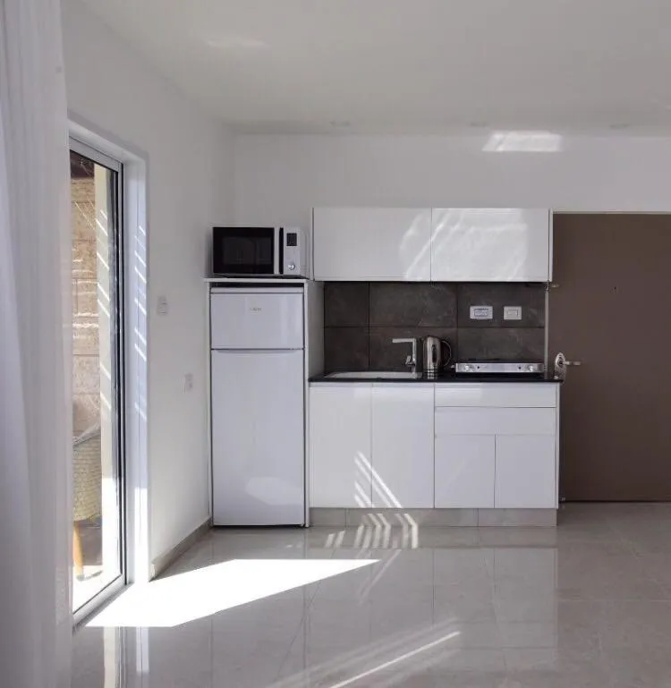 Kitchen or kitchenette in Presidential Penthouse