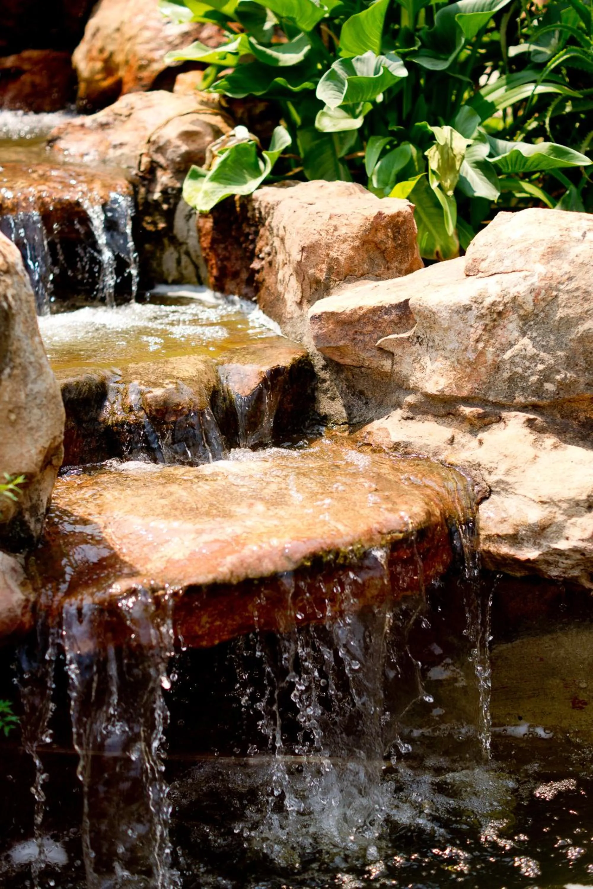 Garden in Little Tuscany Boutique Hotel