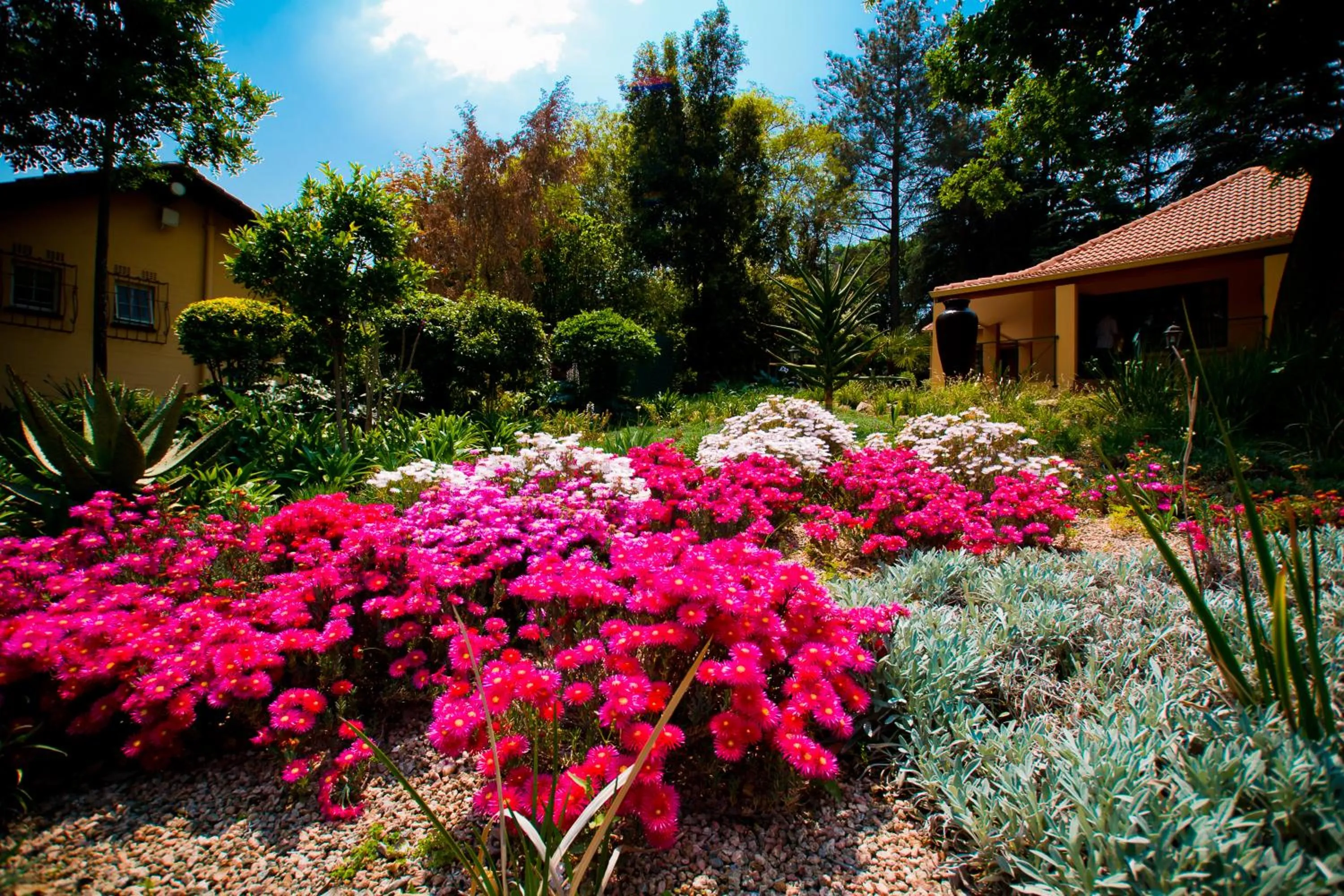 Garden in Little Tuscany Boutique Hotel
