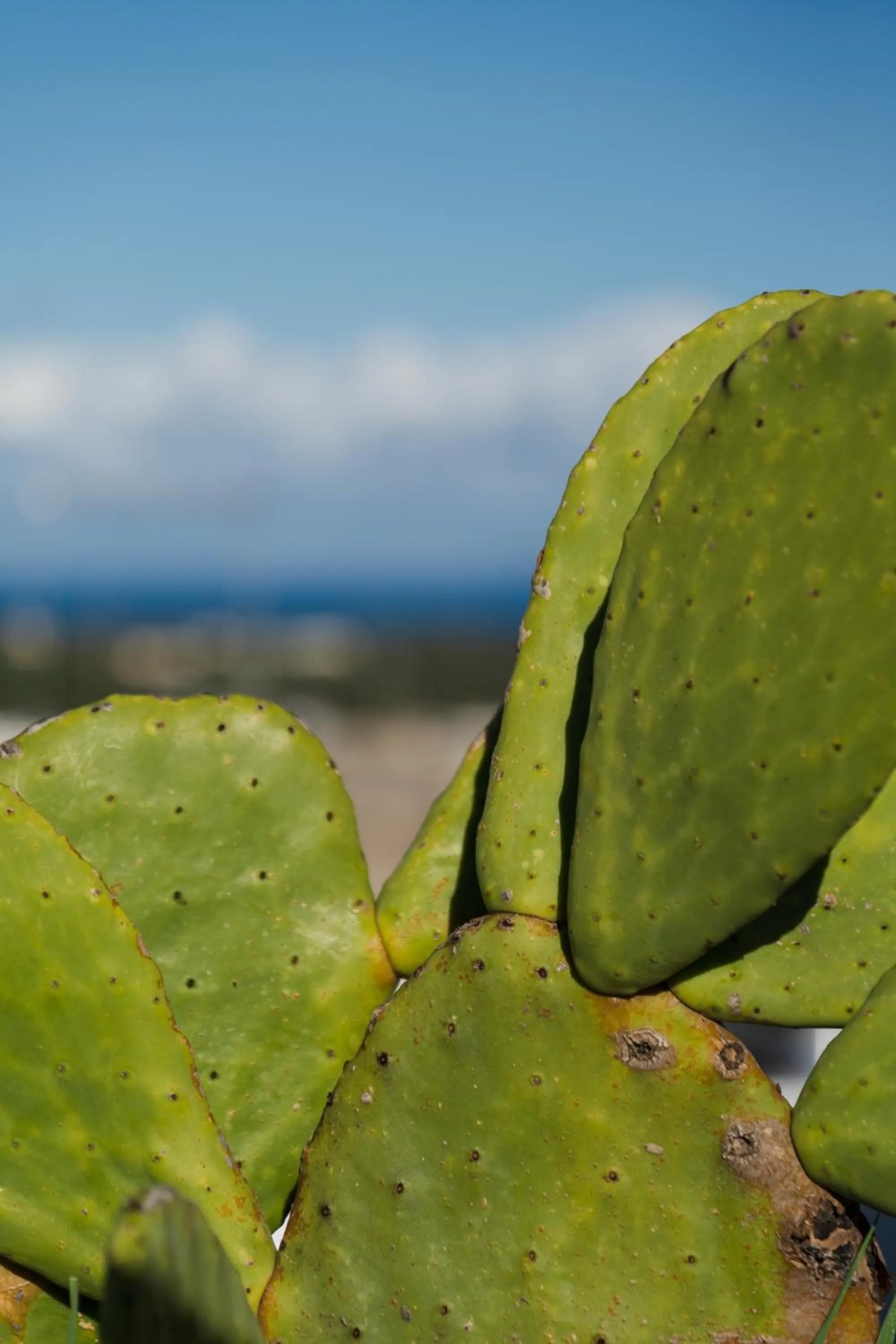 Natural landscape in BED&BREAD Piazza 'Nzegna