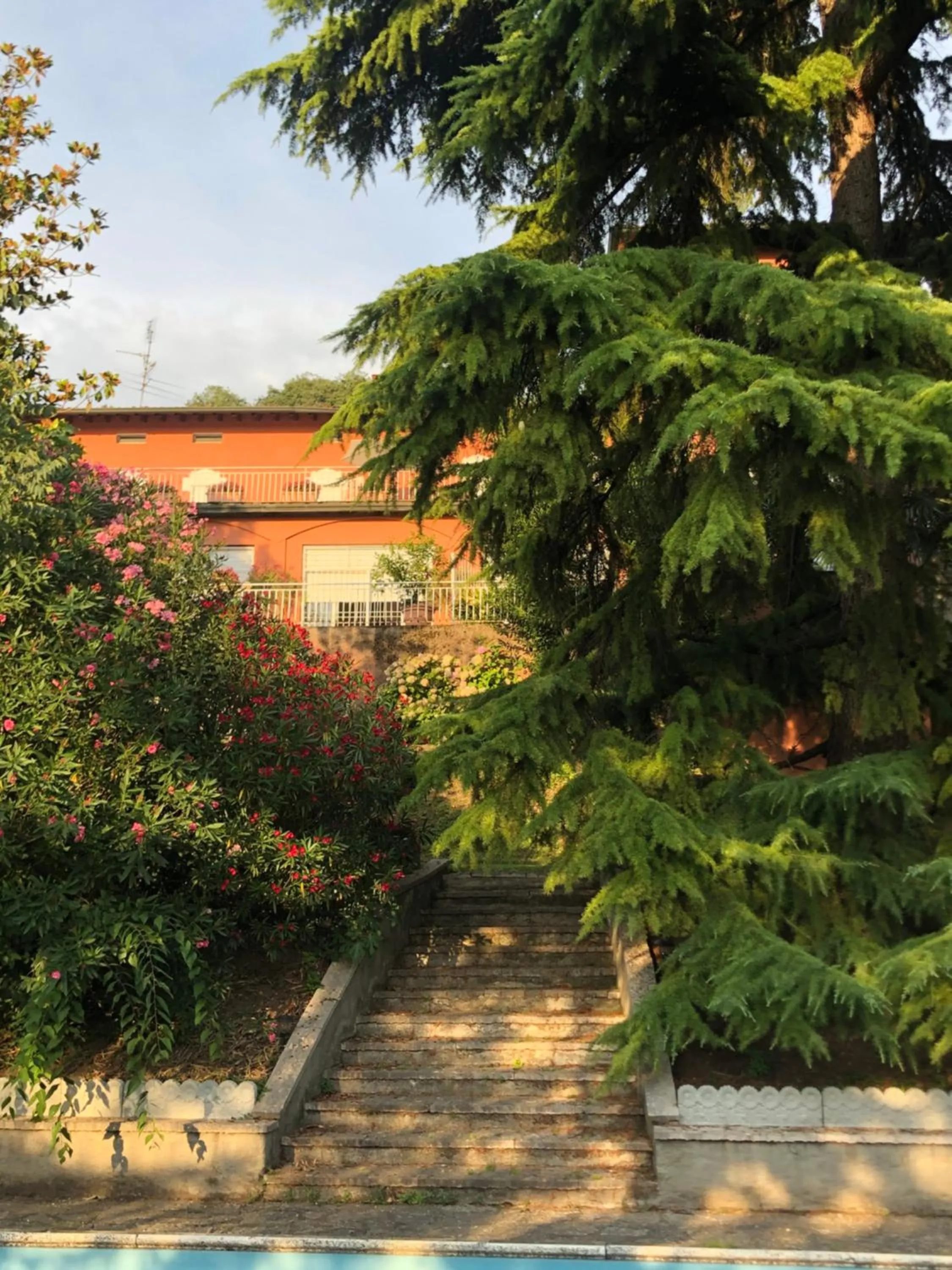 Garden in Villa House and Garden B&B