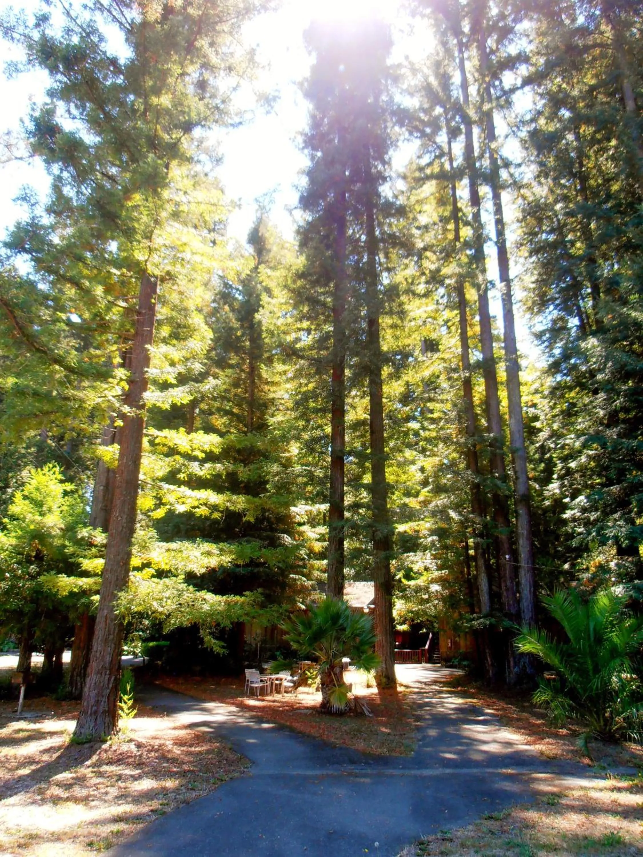 Natural landscape in Casa Secoya