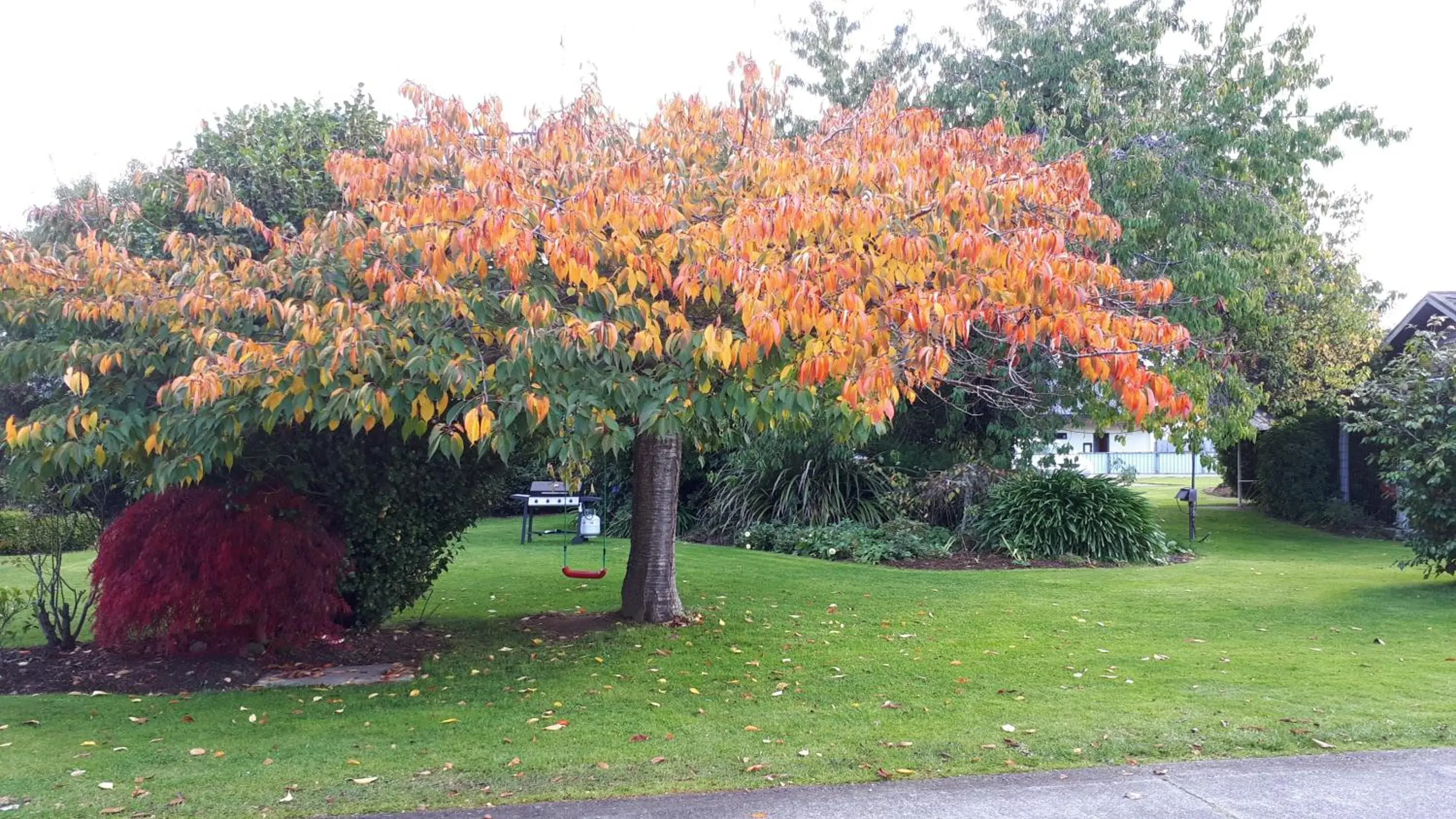 King Superior (One-Bedroom) Apartment in Edgewater Motel King Superior (One-Bedroom) Apartment in Edgewater Motel