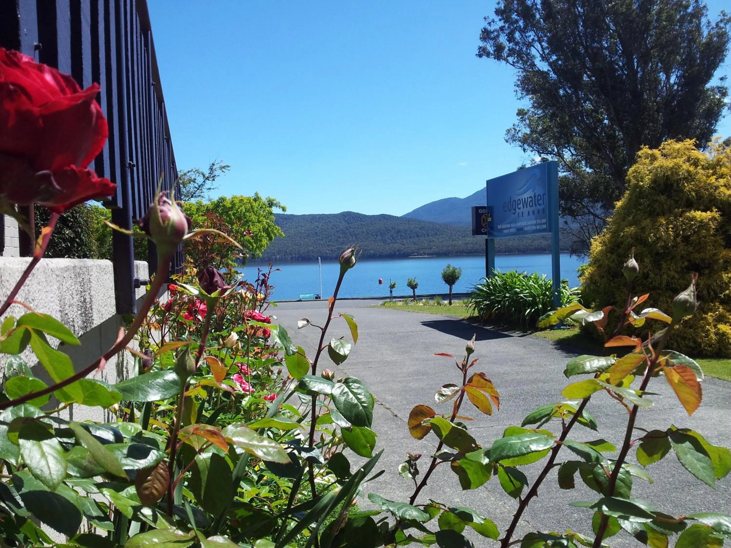 Day in Edgewater Motel