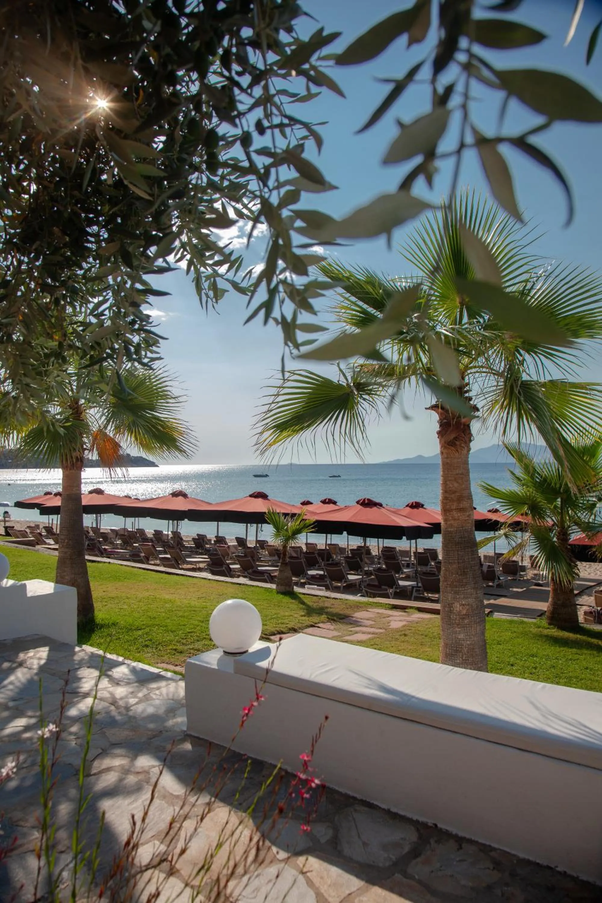 Garden in Akti Hotel Kavala