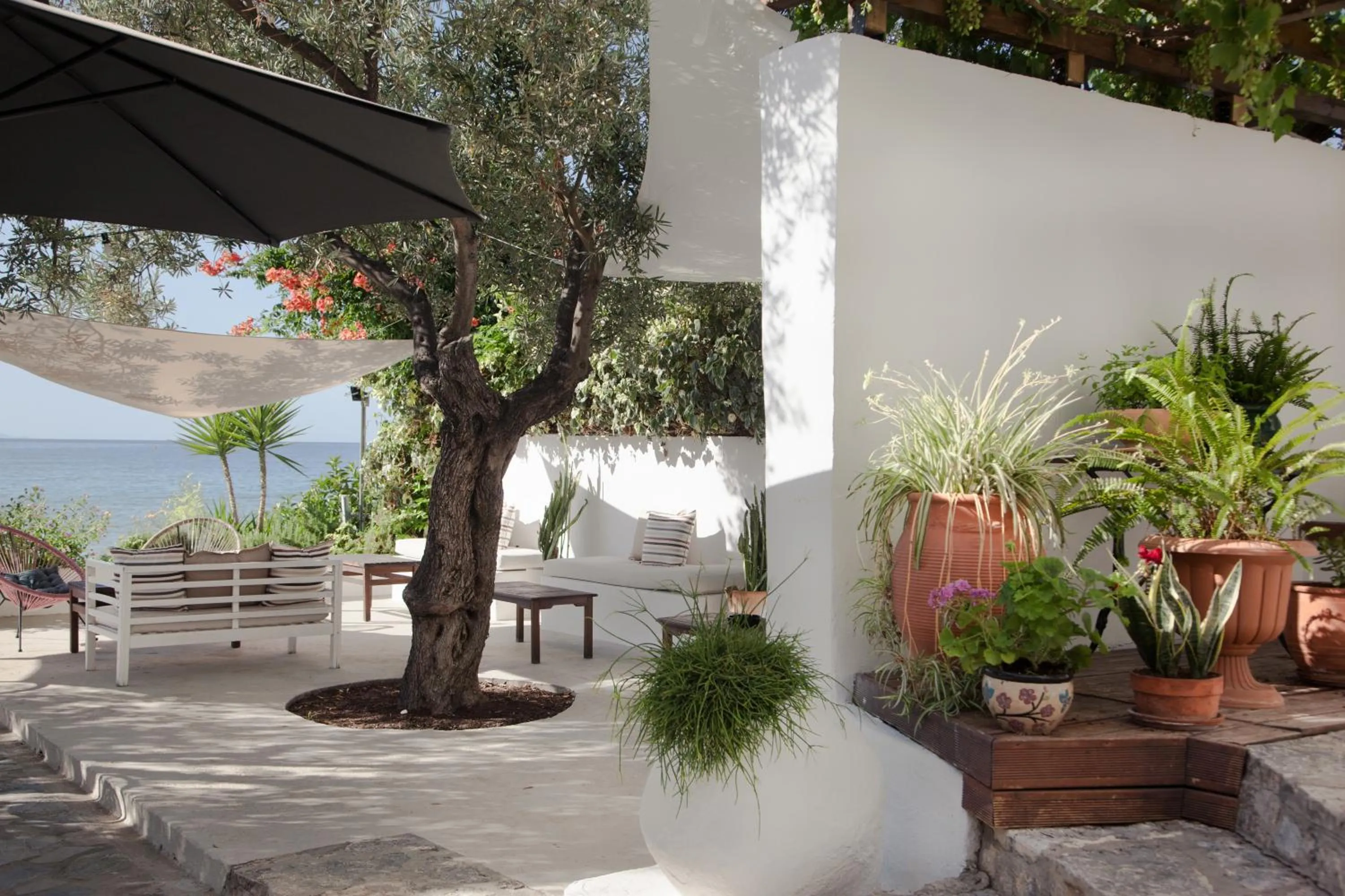 Garden in Akti Hotel Kavala