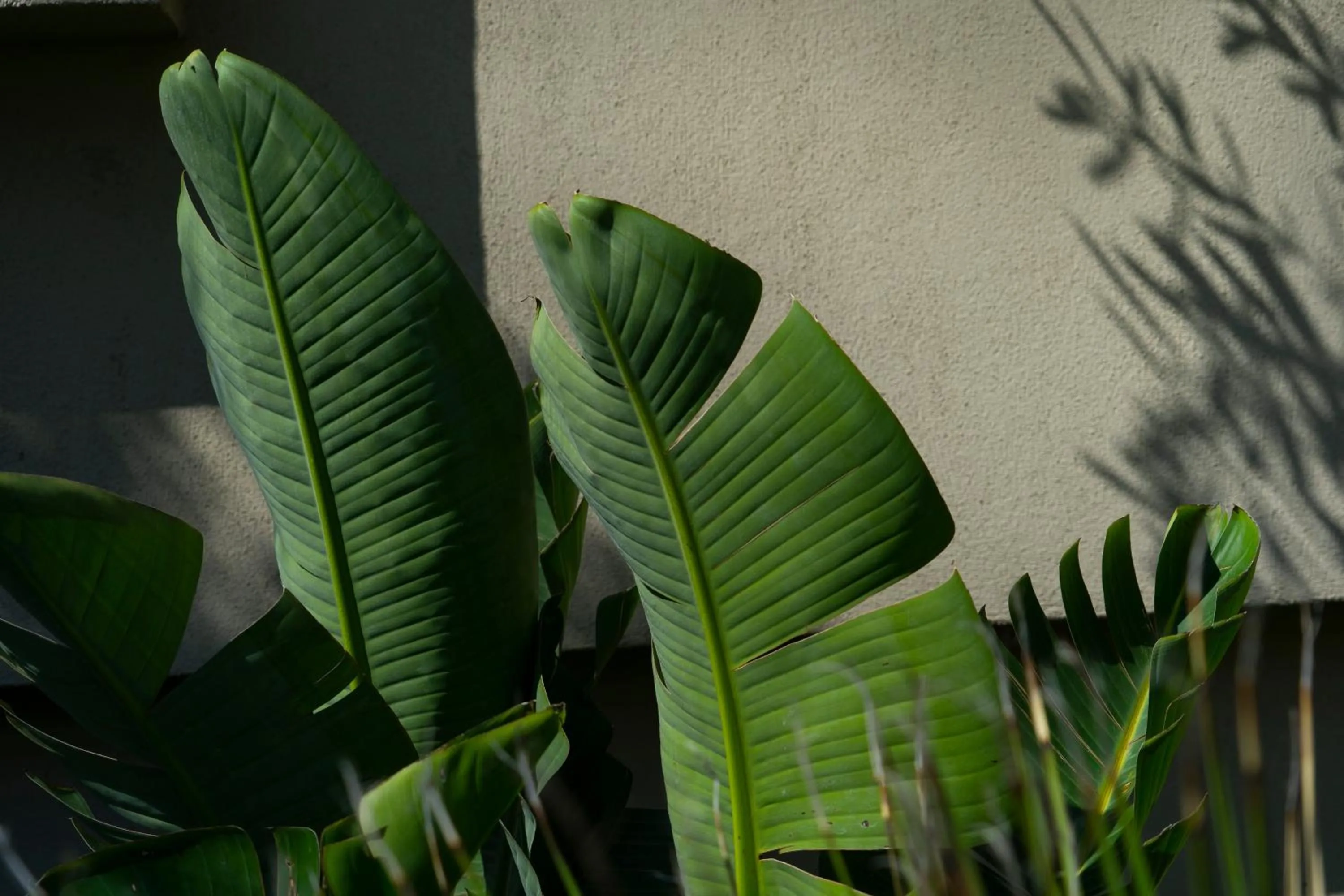 Day in Akti Hotel Kavala