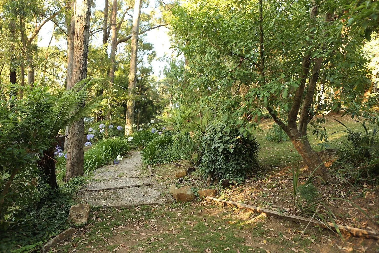 Natural landscape in Holly Lodge