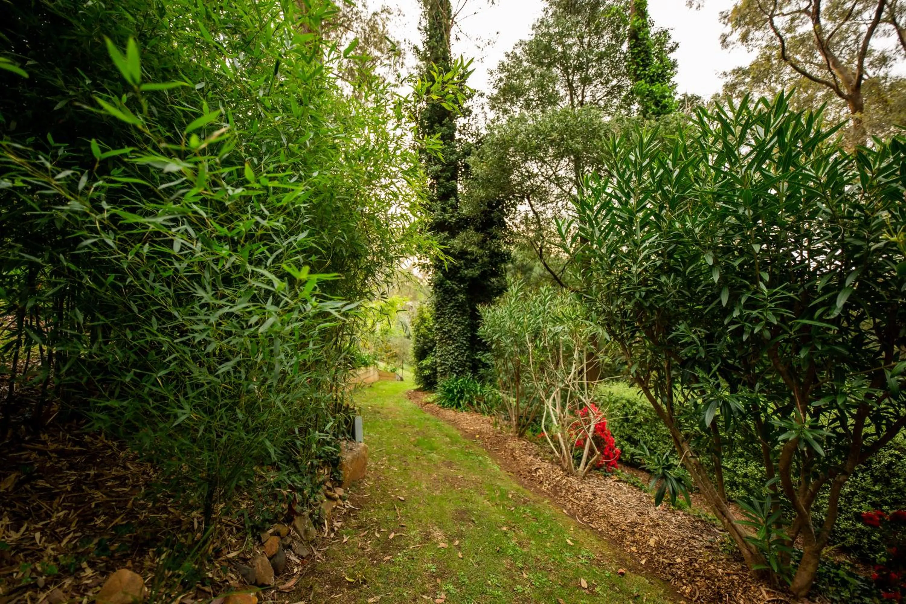 Natural landscape in Holly Lodge