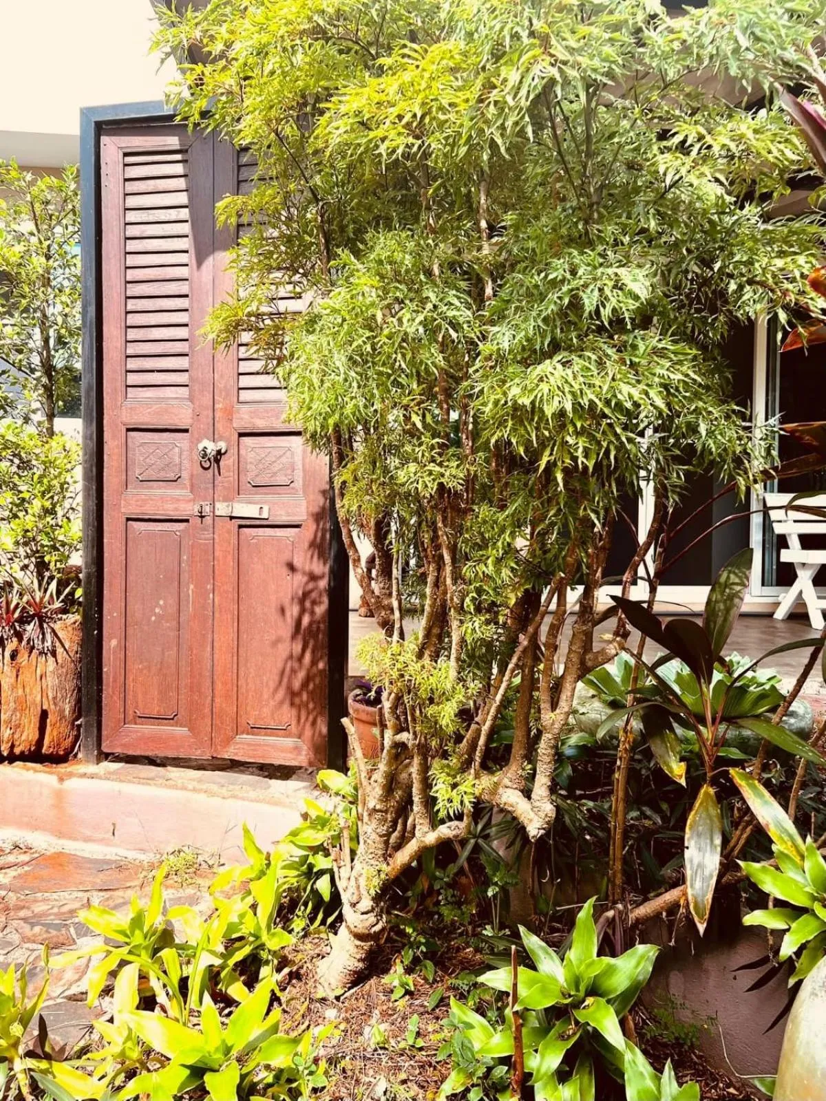 Garden in Good Time Sports Village Koh Mak