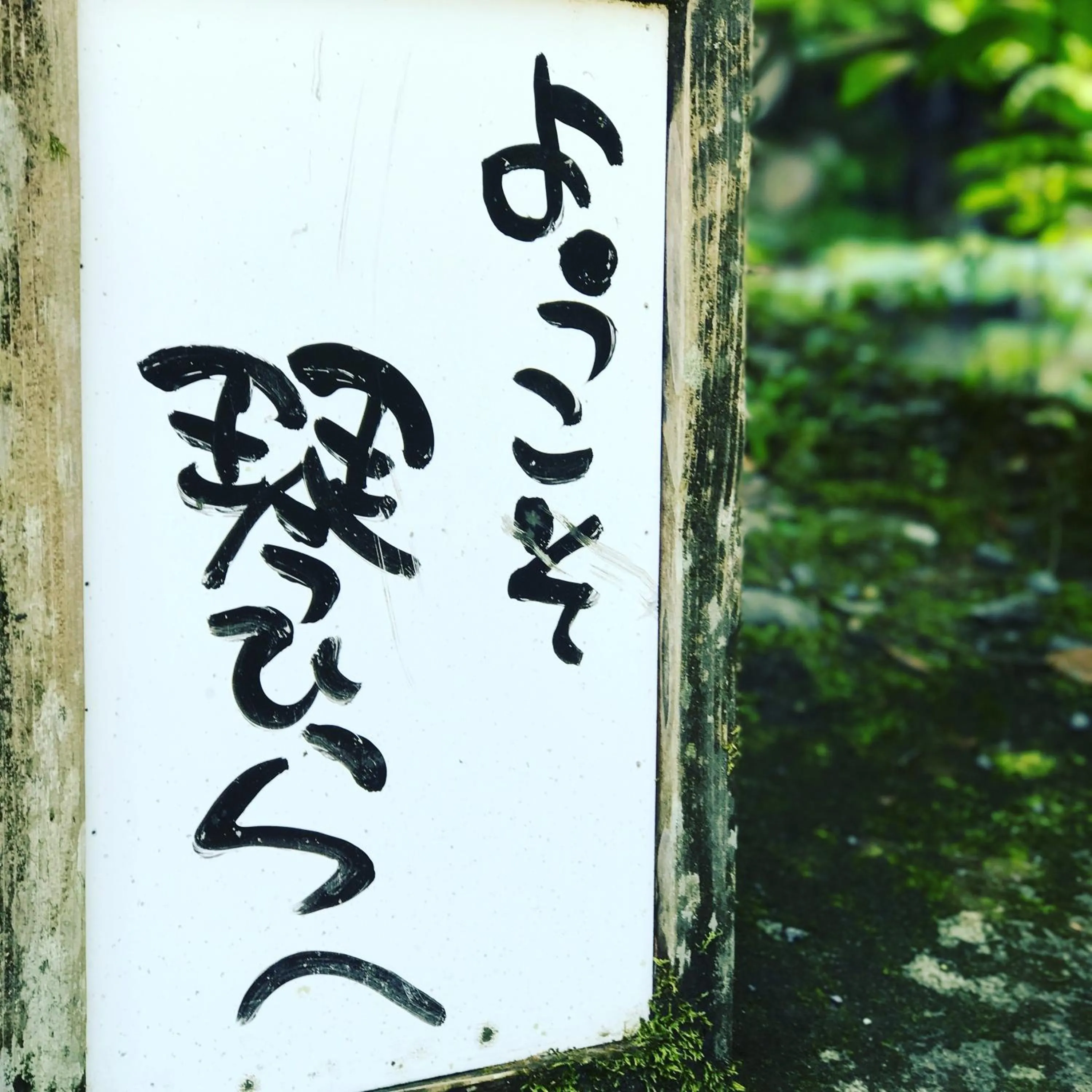 On site in Kotohira Guest House en