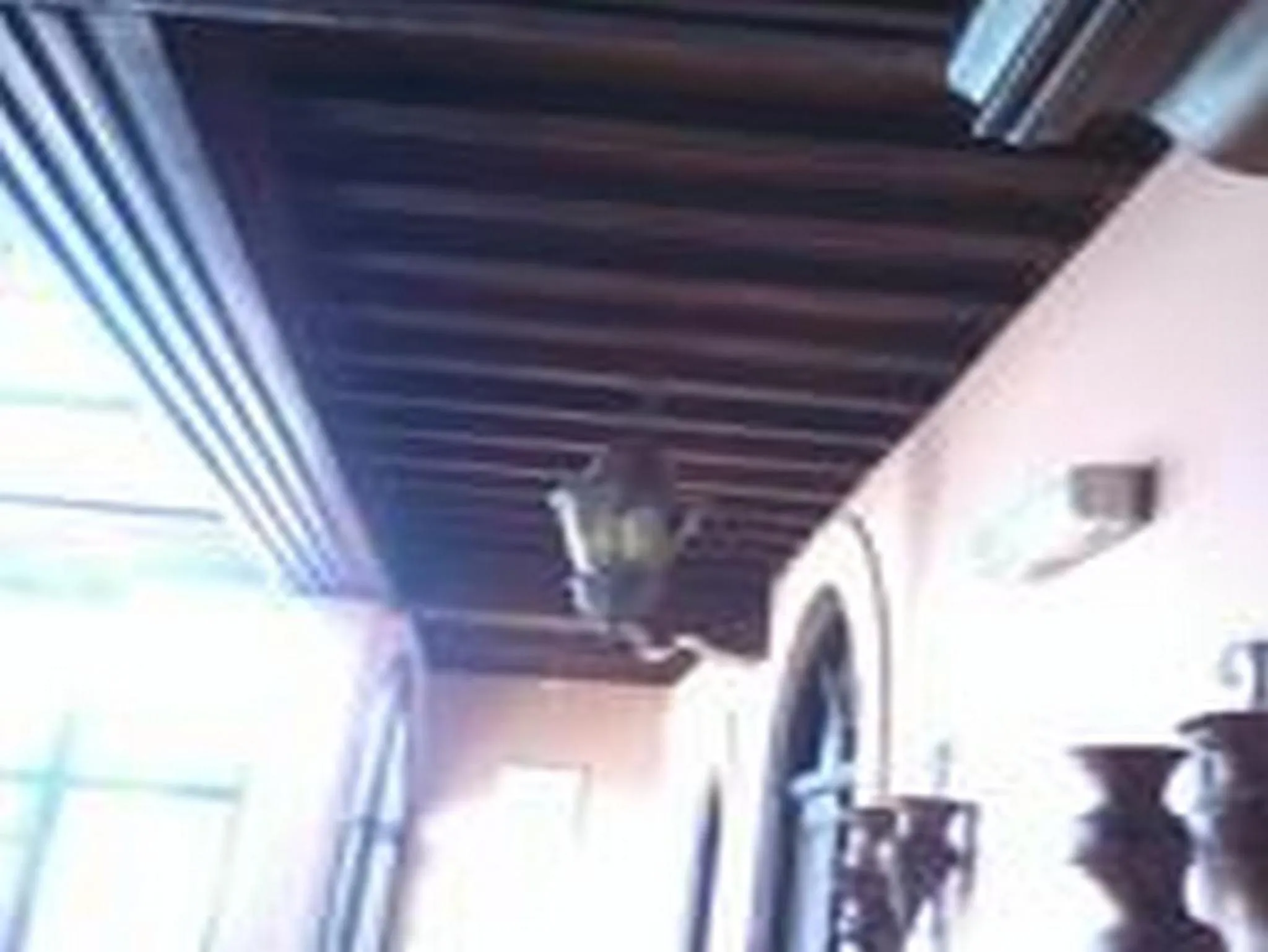 Decorative detail in Riad Etoile D'essaouira