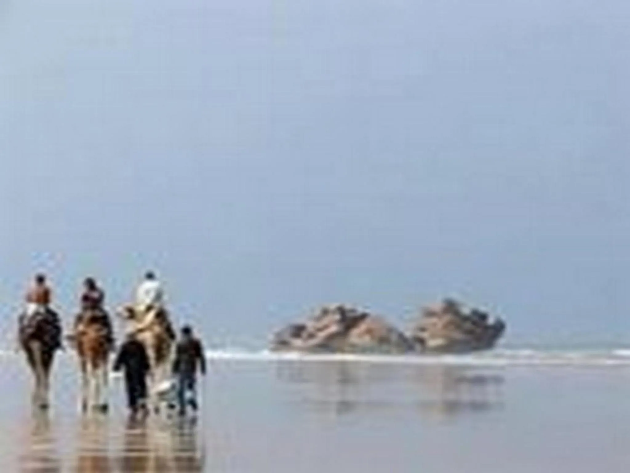 Horse-riding in Riad Etoile D'essaouira