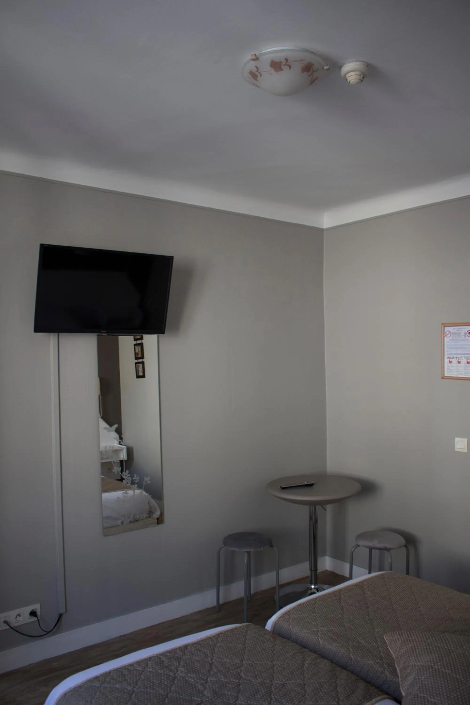 TV and multimedia in Hotel Le Reynita