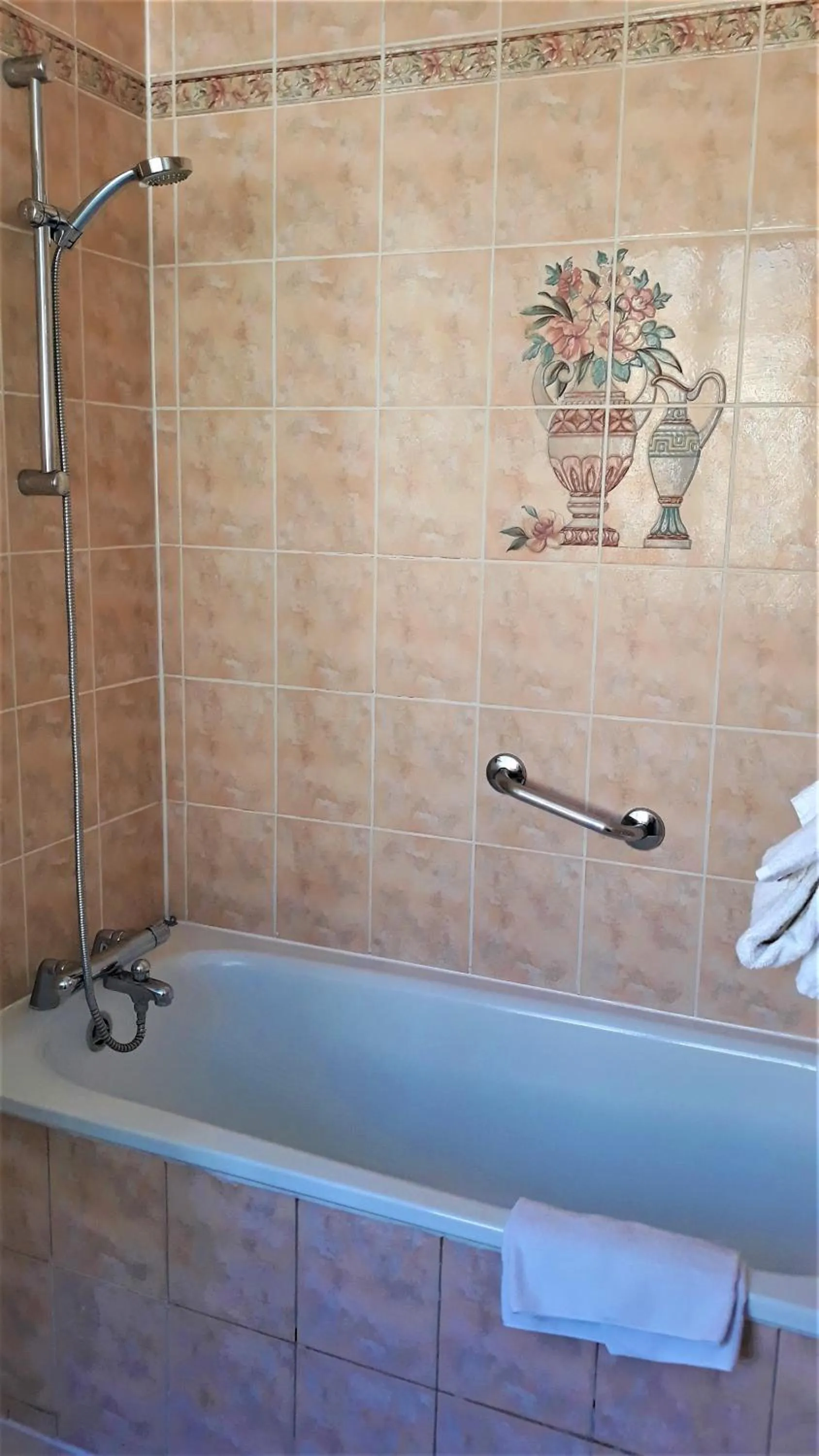 Shower in Hotel Le Reynita