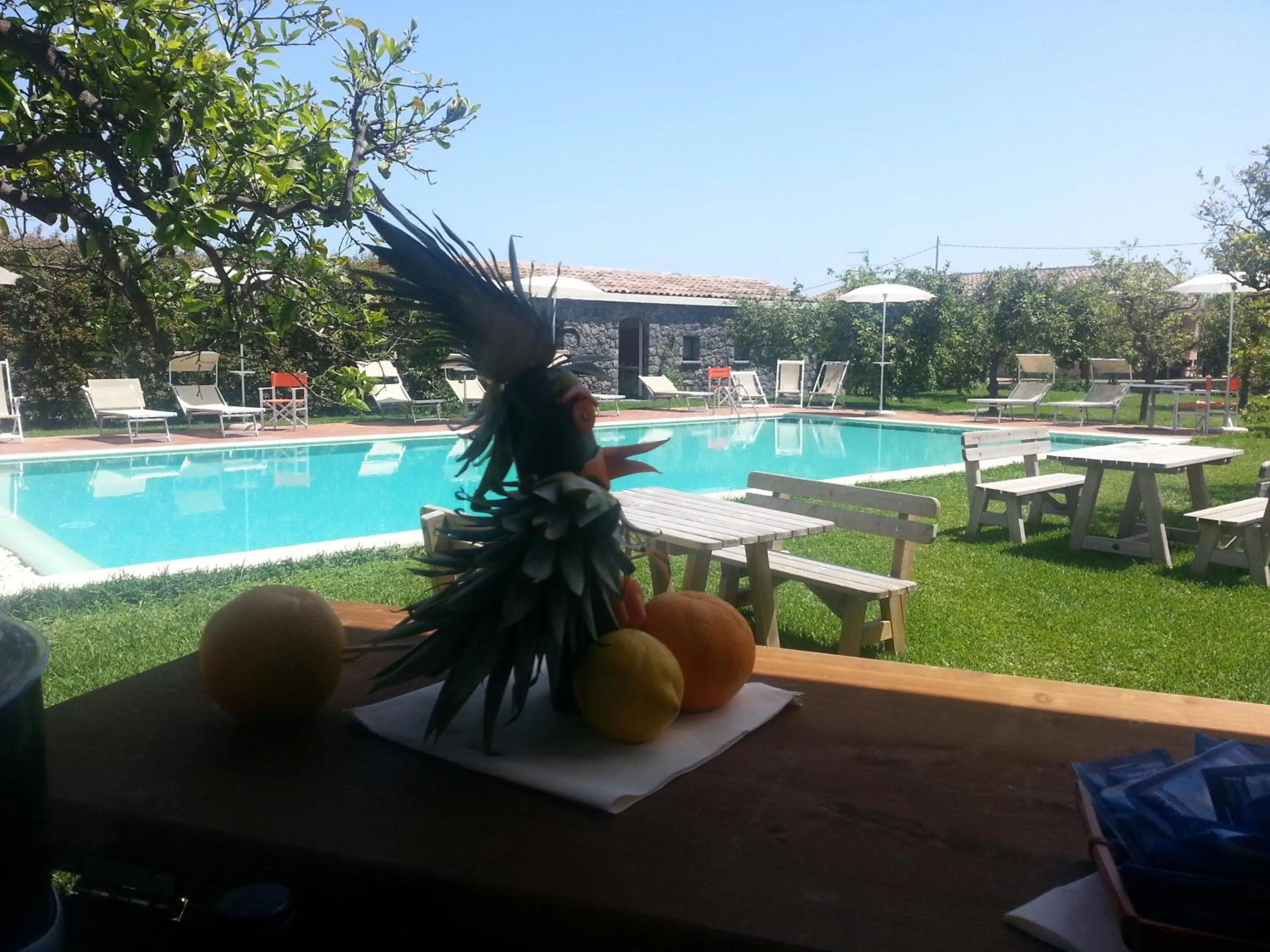 Dining area in Agriturismo Galea