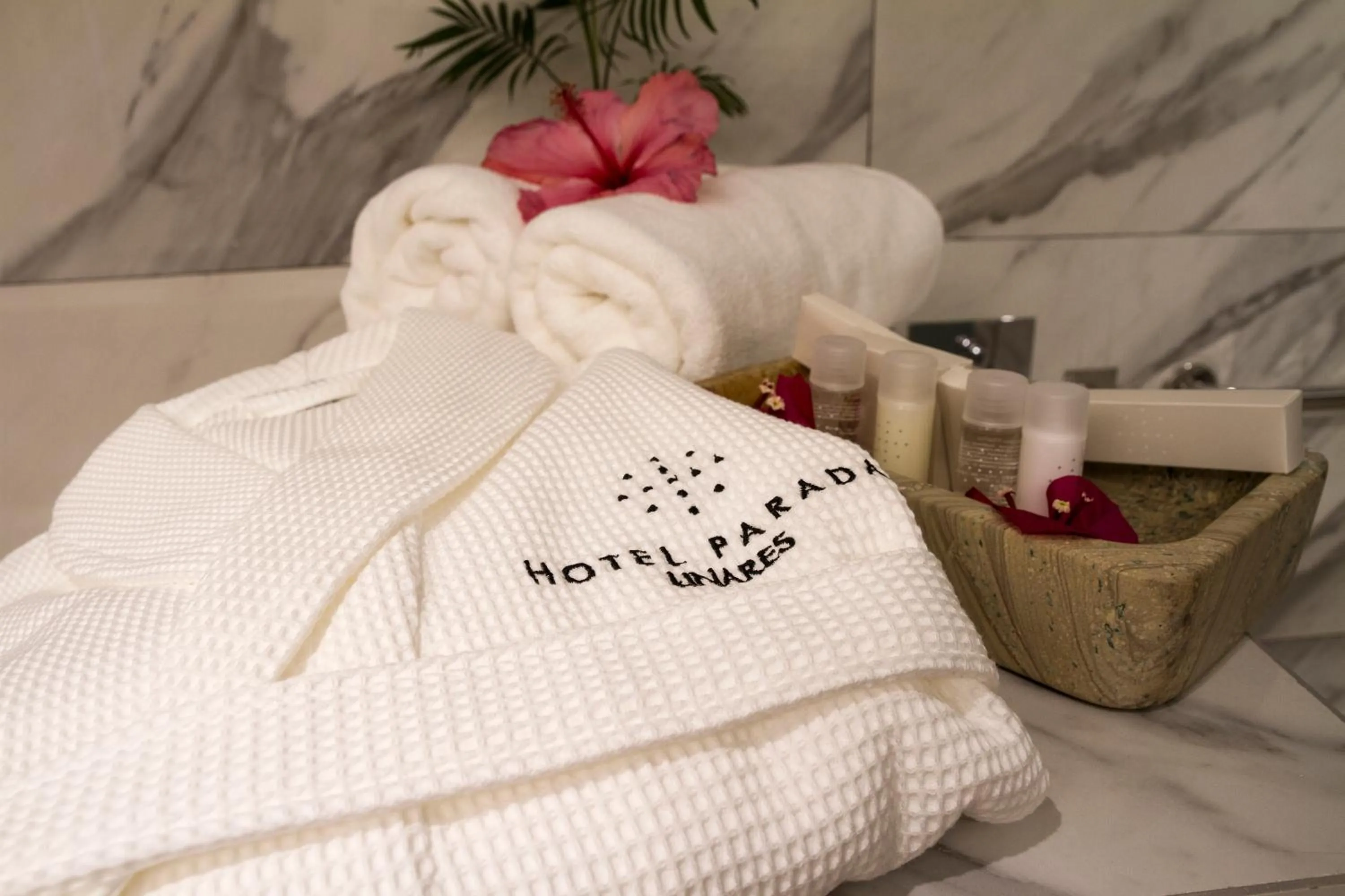 Massage in Hotel Parada Linares